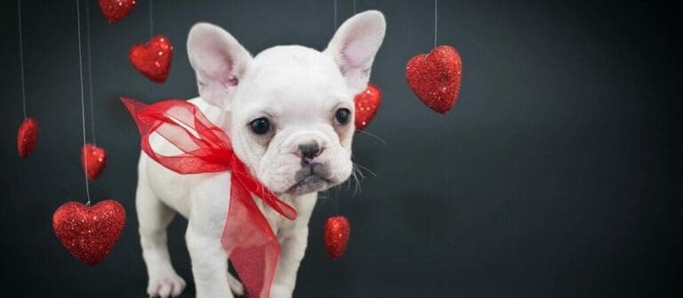 Valentine’s Day Gift For Mom