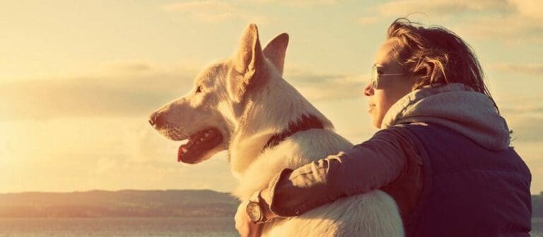 What Should I know Emotional Support Dogs?