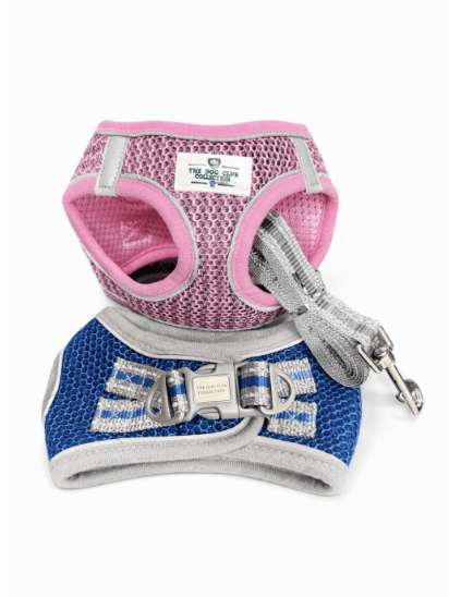 Harness & Leash Package