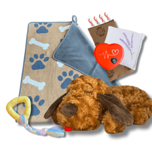 Calming Buddy Kit - Little