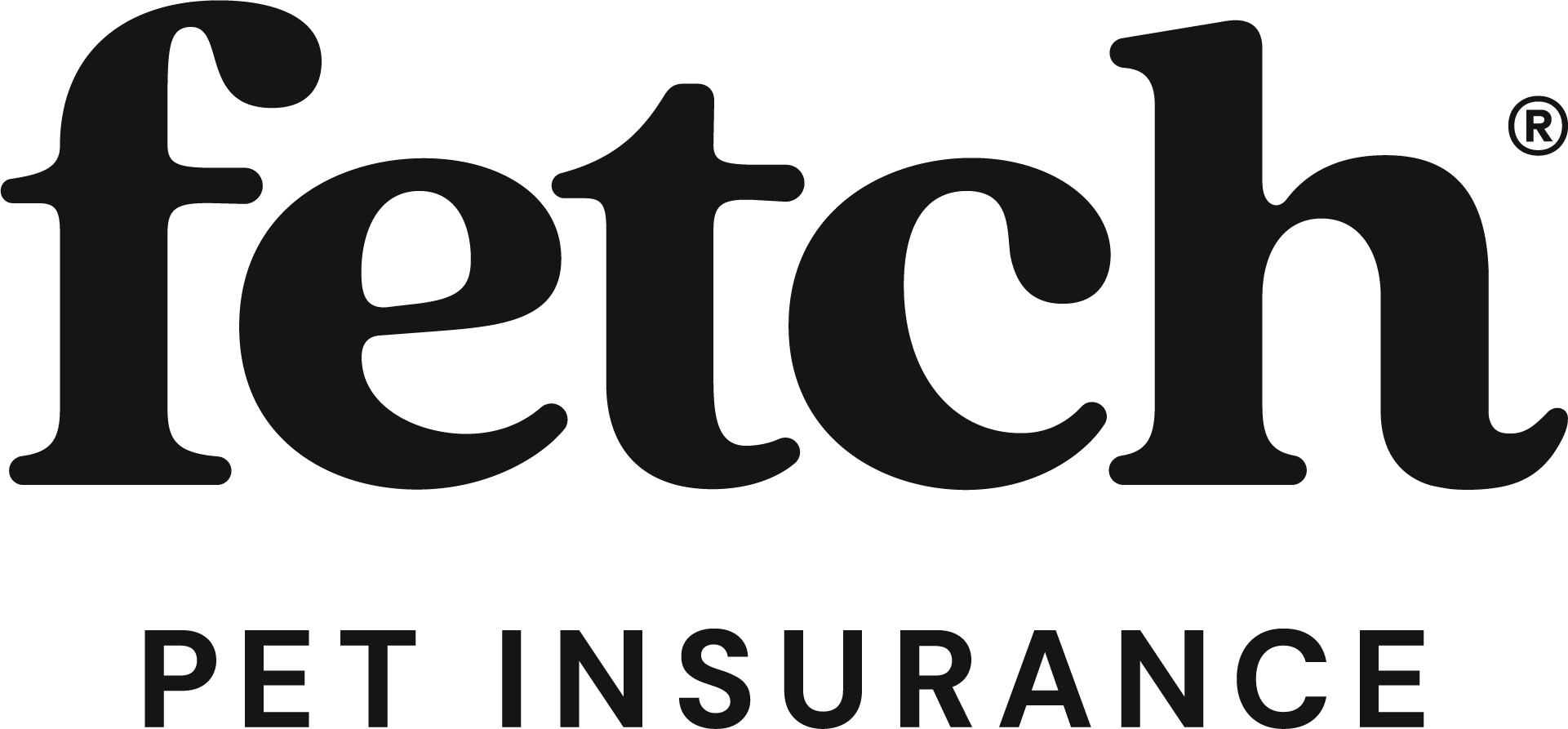 Fetch Insurance