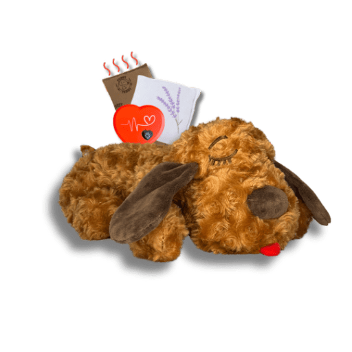 Calming Buddy - Original