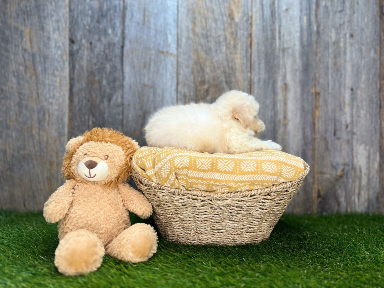 Image #3