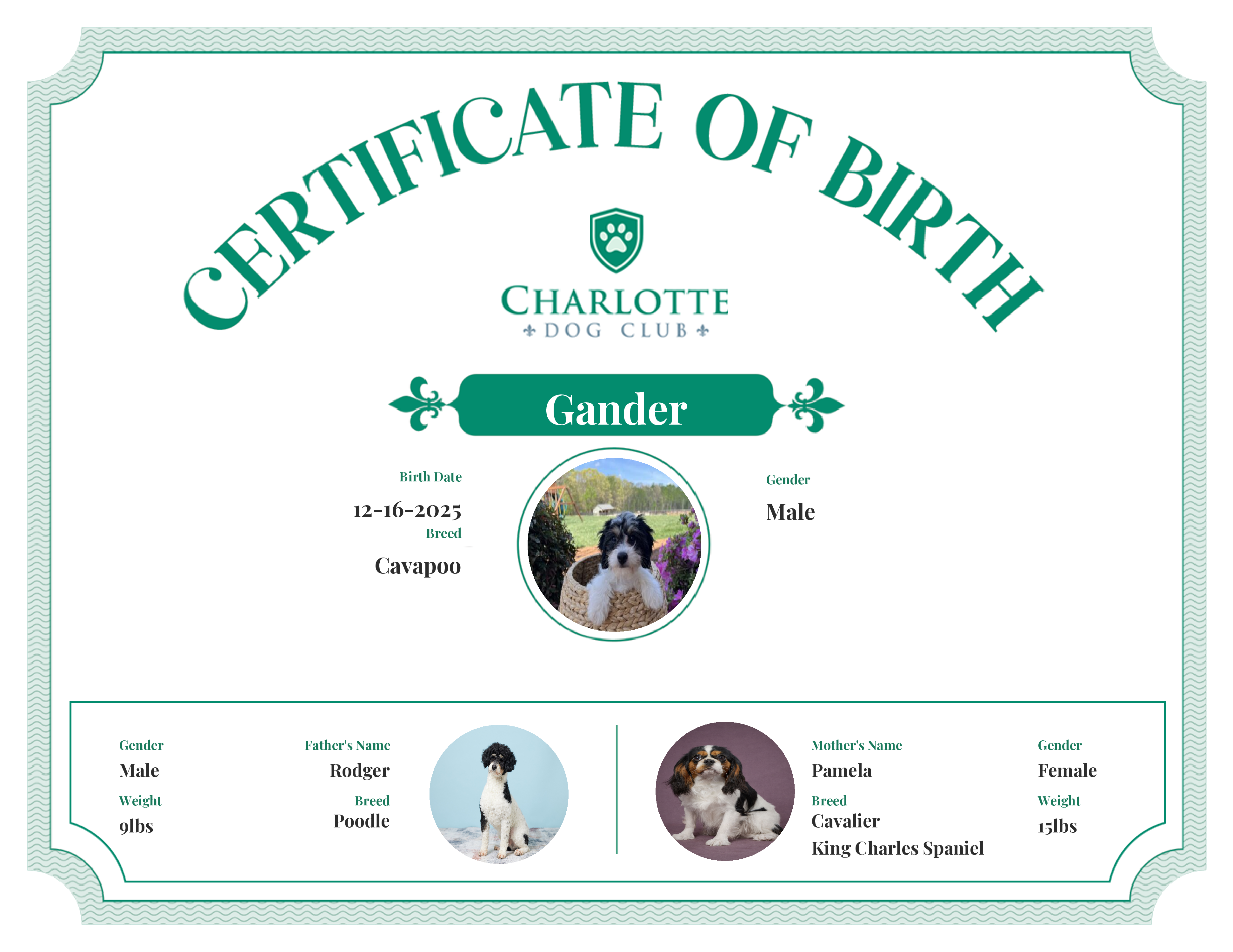 Gander's Birth Certificate