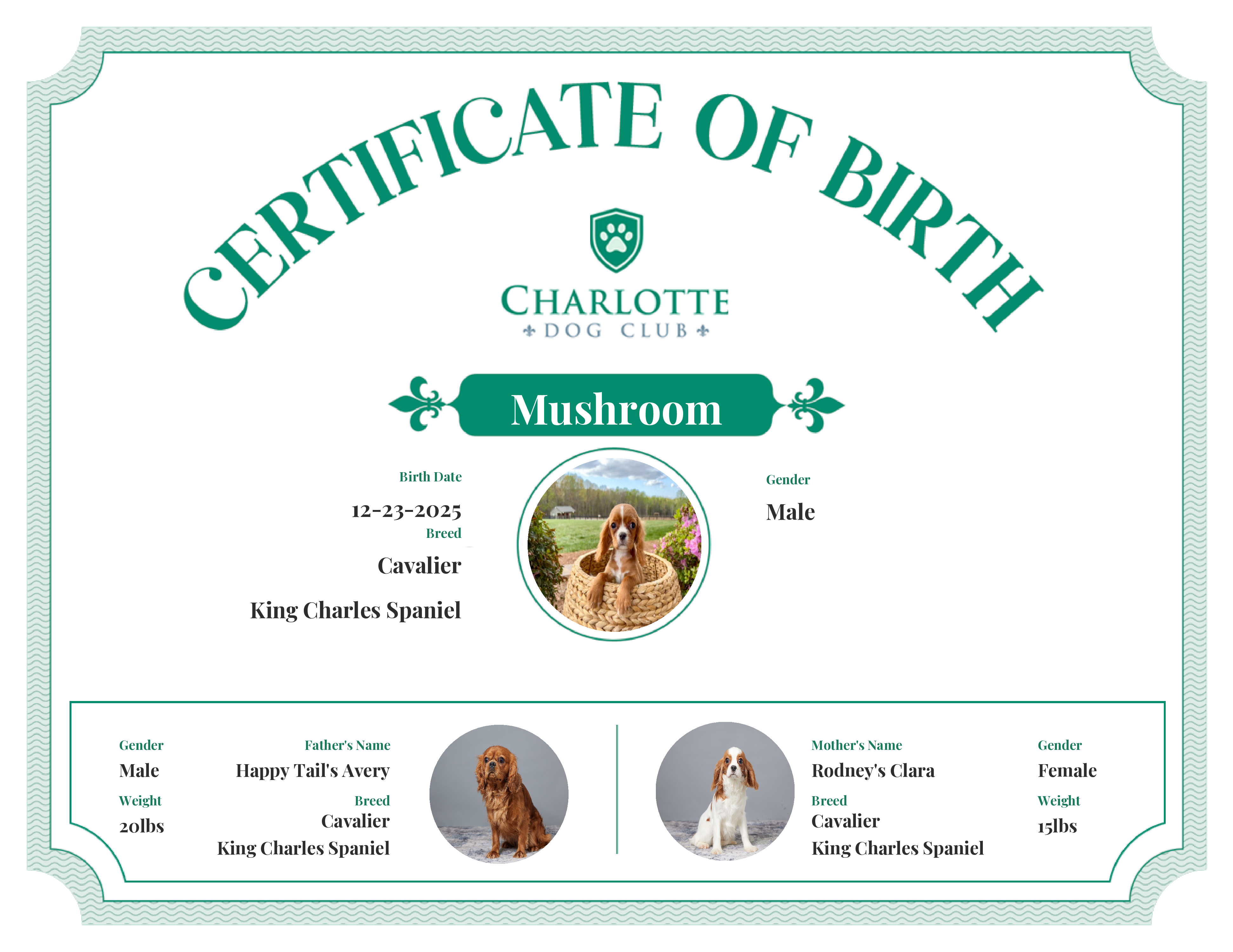 Mushroom's Birth Certificate