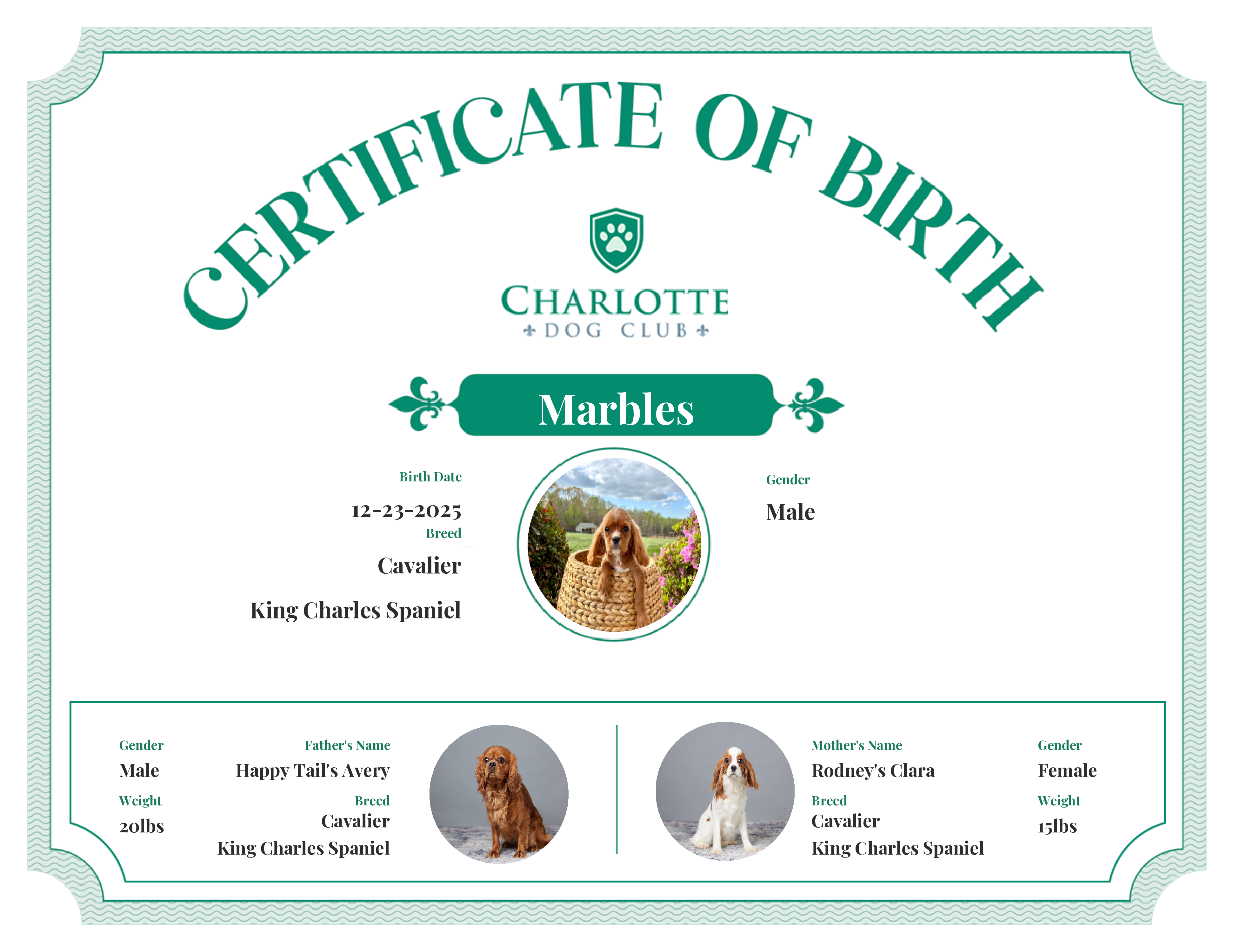 Marbles's Birth Certificate
