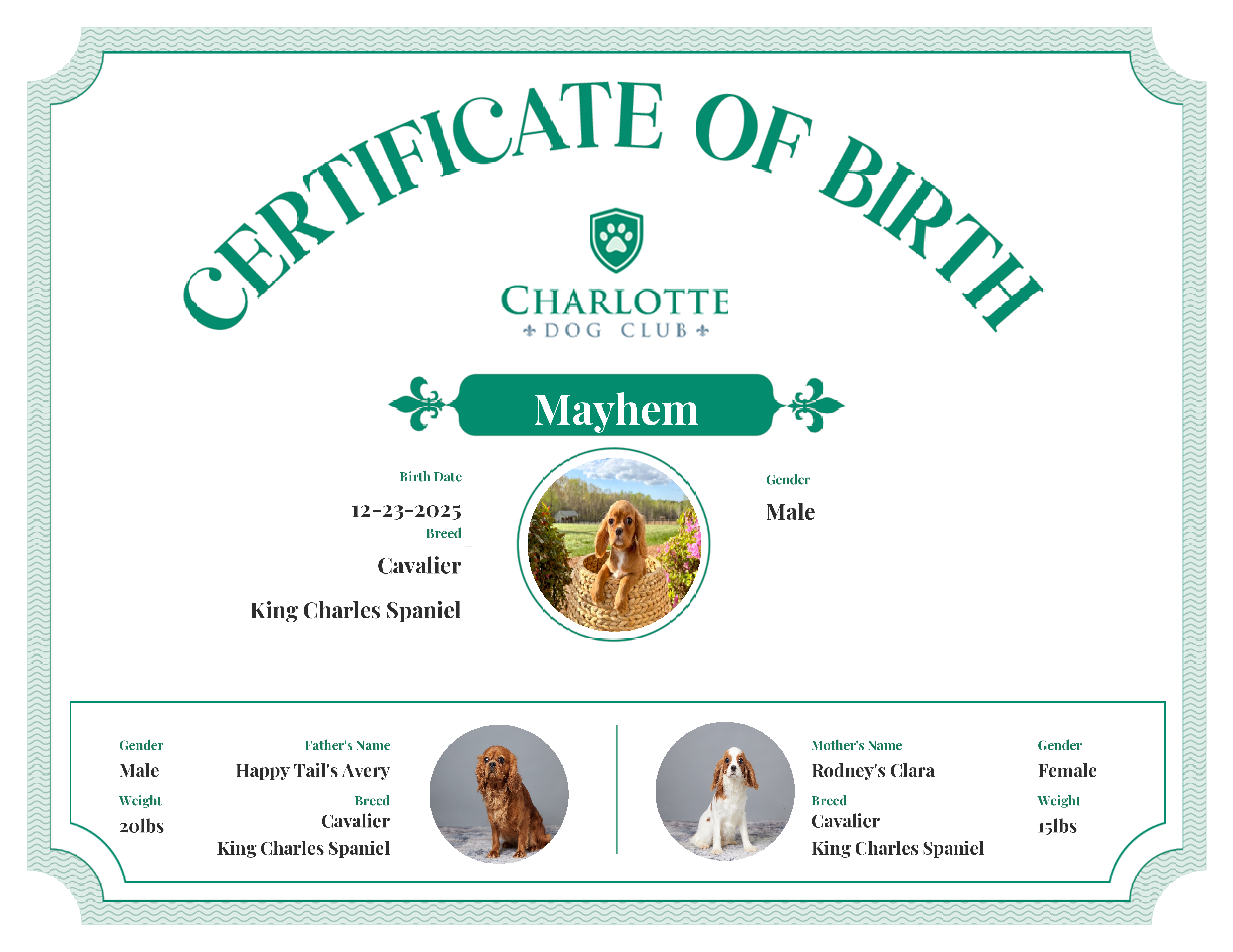 Mayhem's Birth Certificate