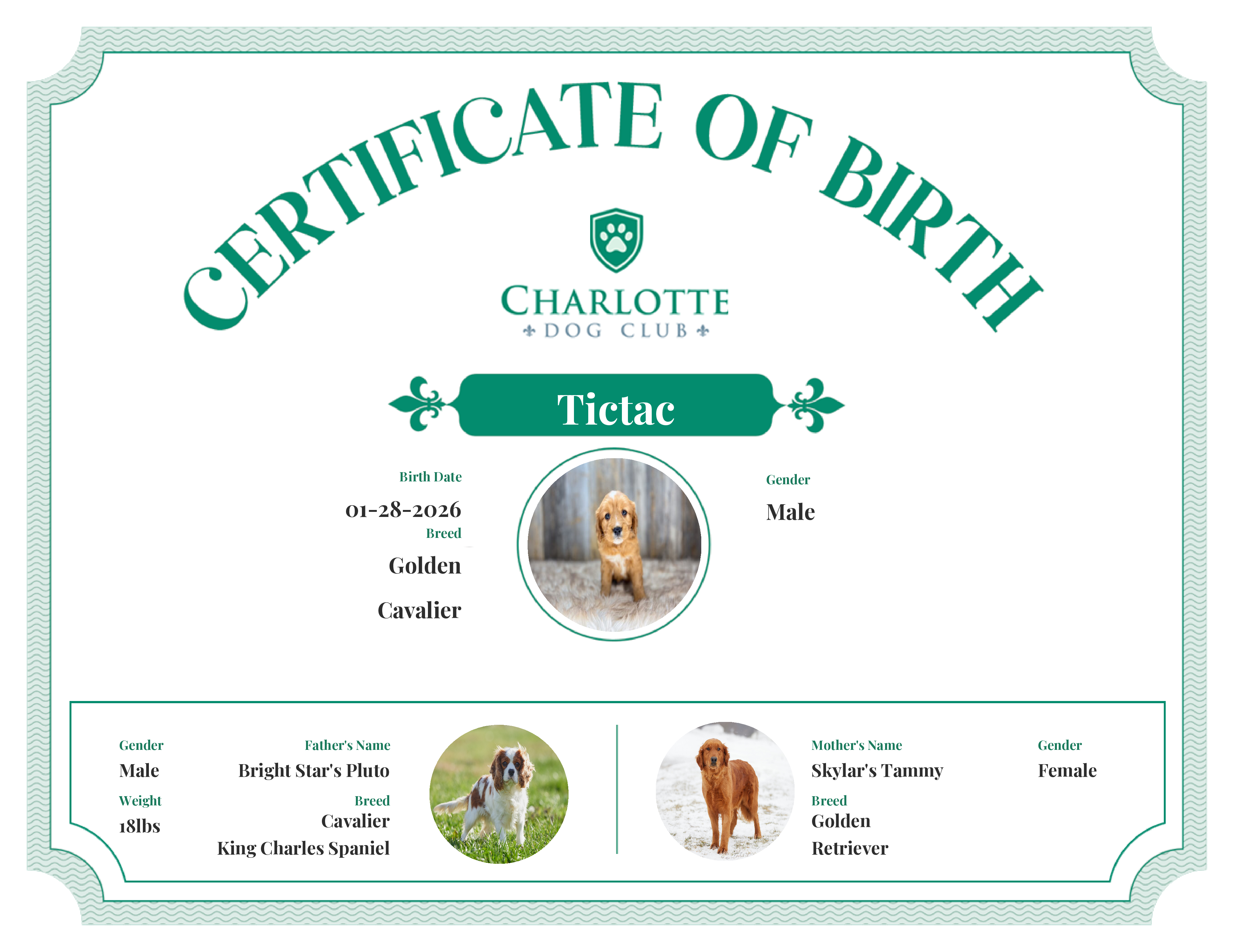 Tictac's Birth Certificate