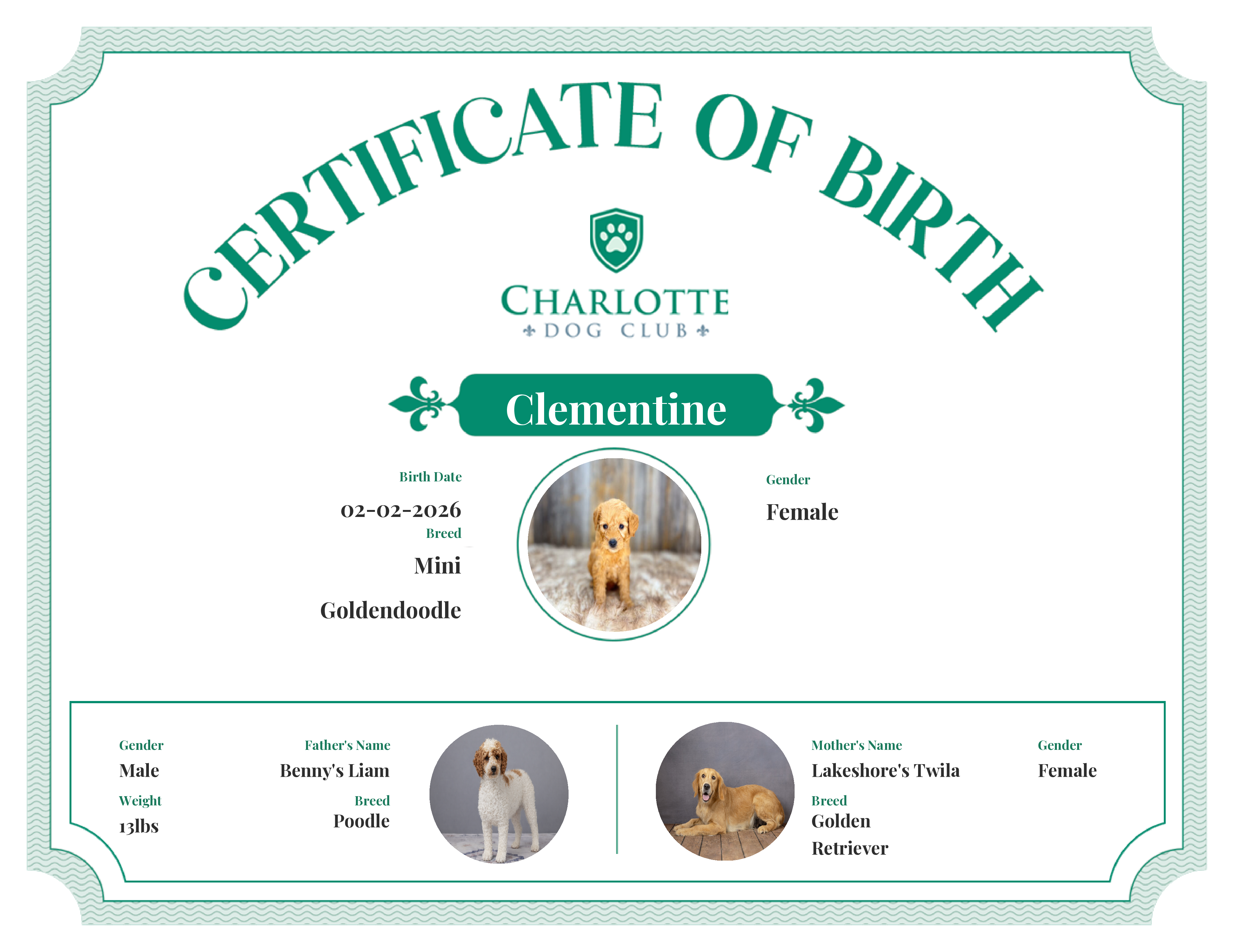Clementine's Birth Certificate