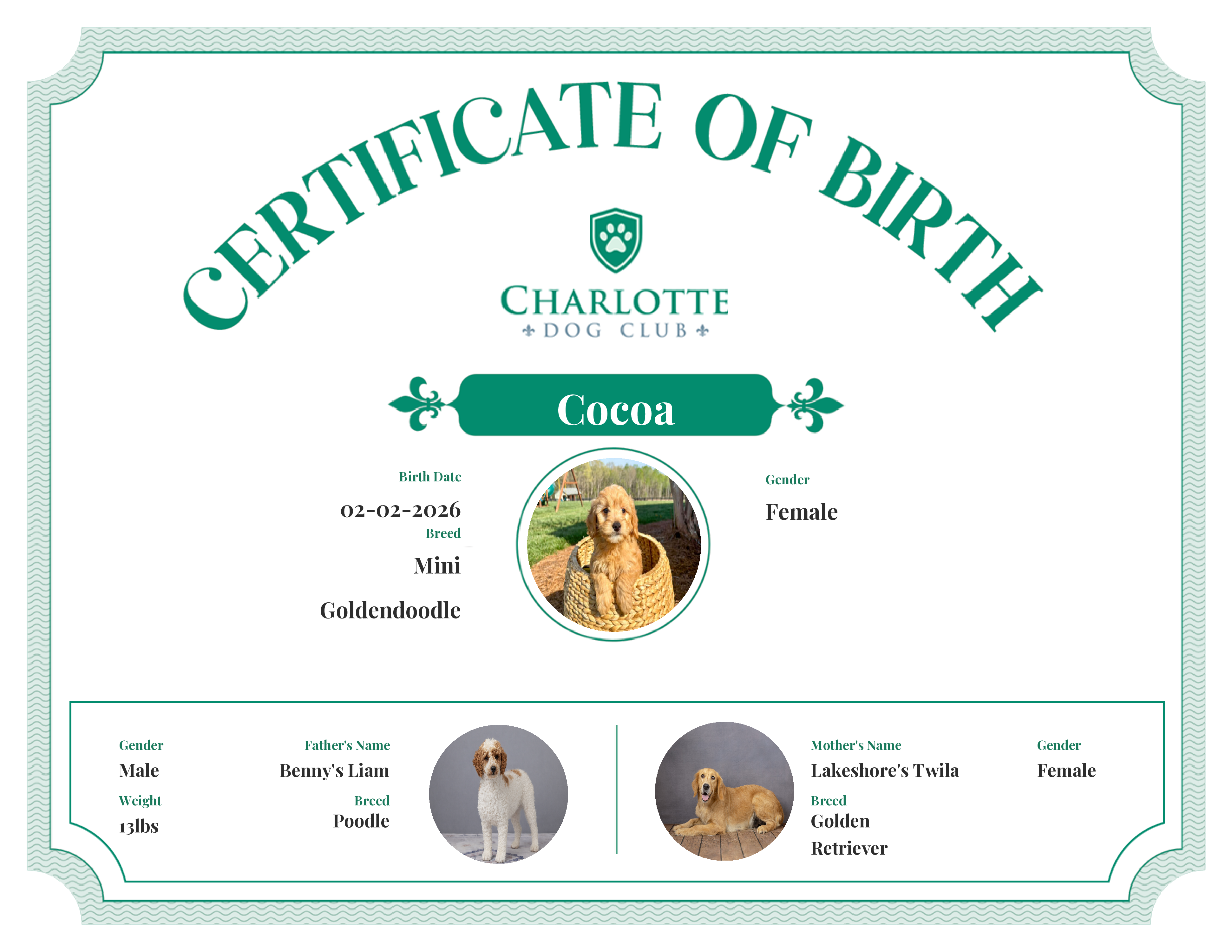 Cocoa's Birth Certificate
