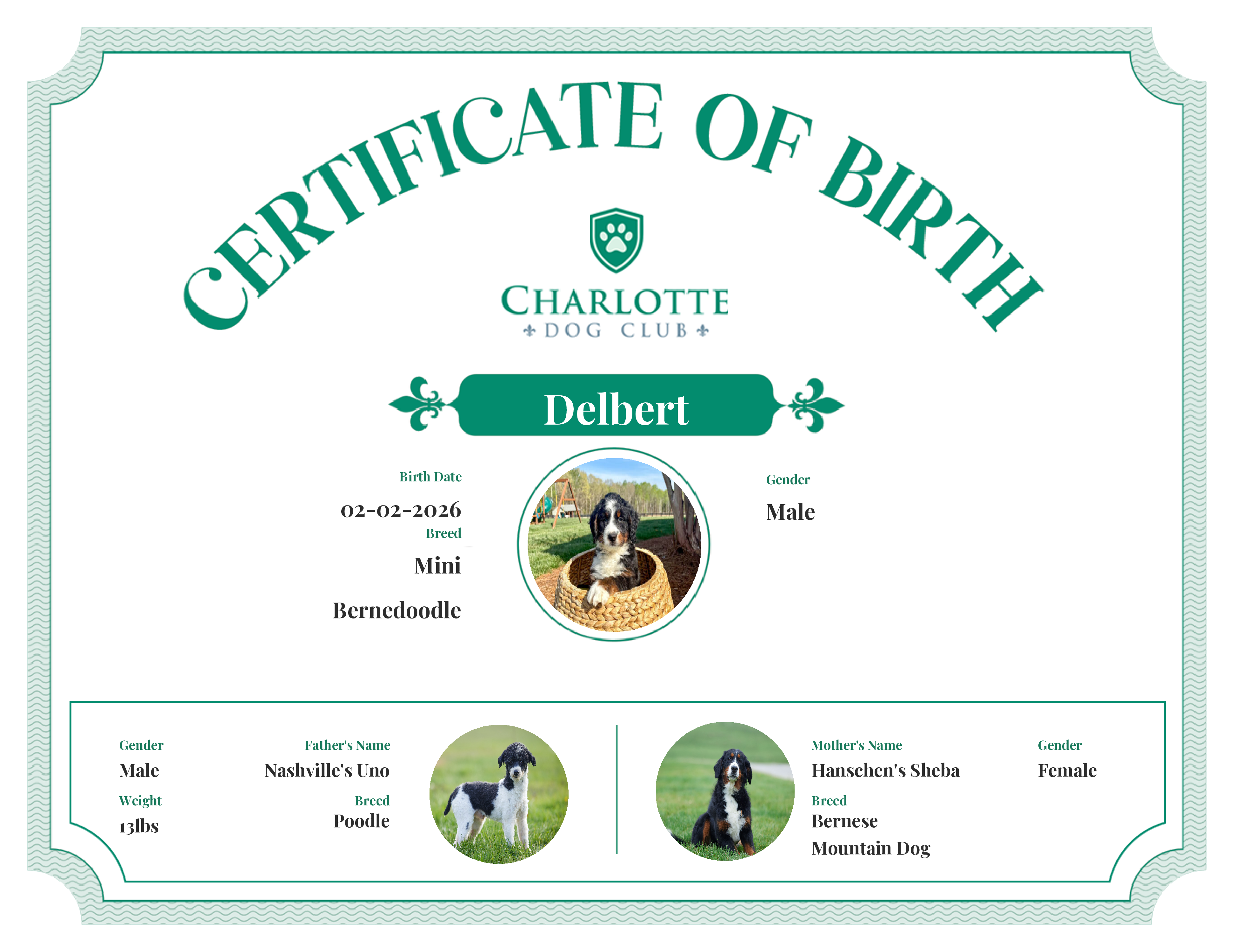 Delbert's Birth Certificate