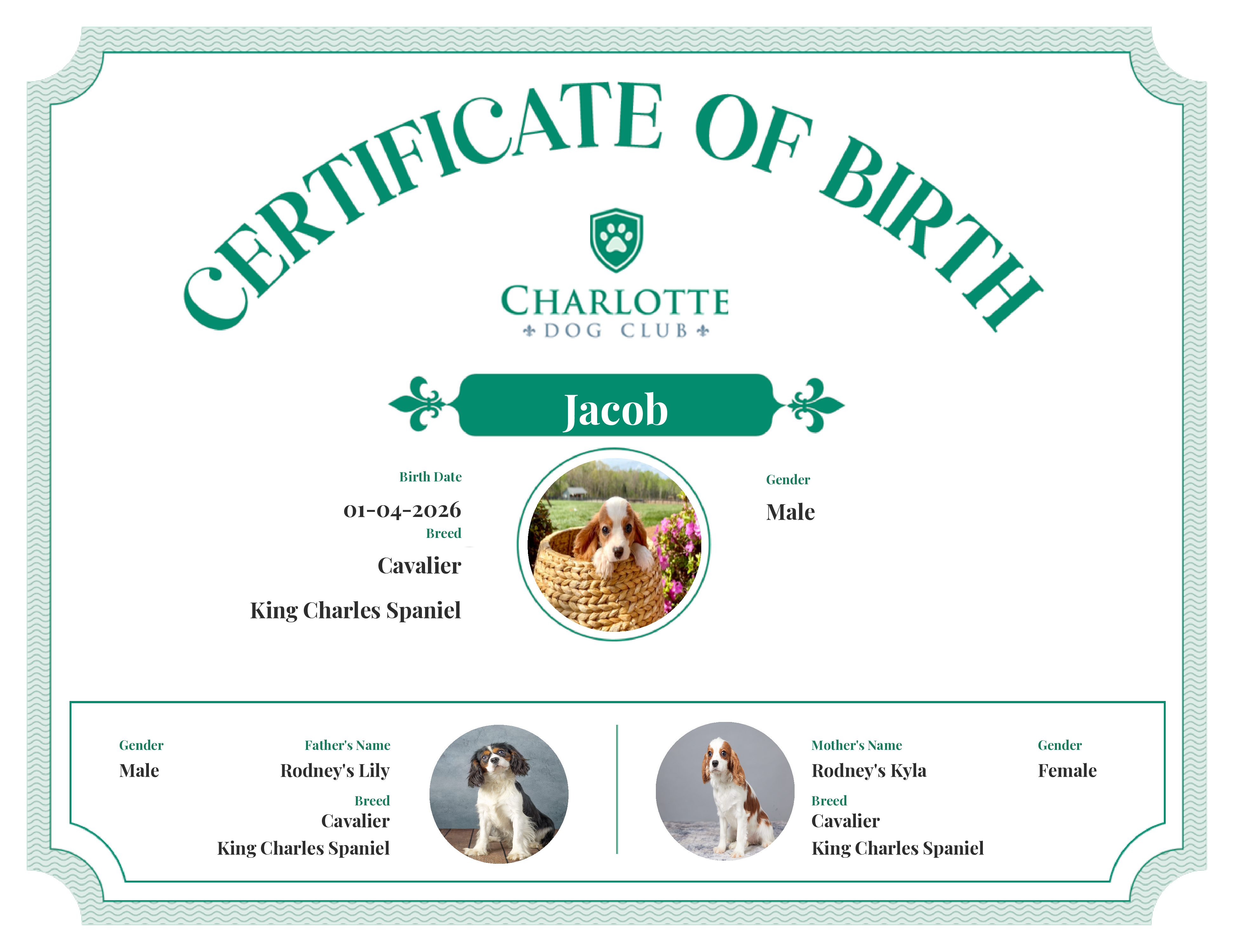 Jacob's Birth Certificate