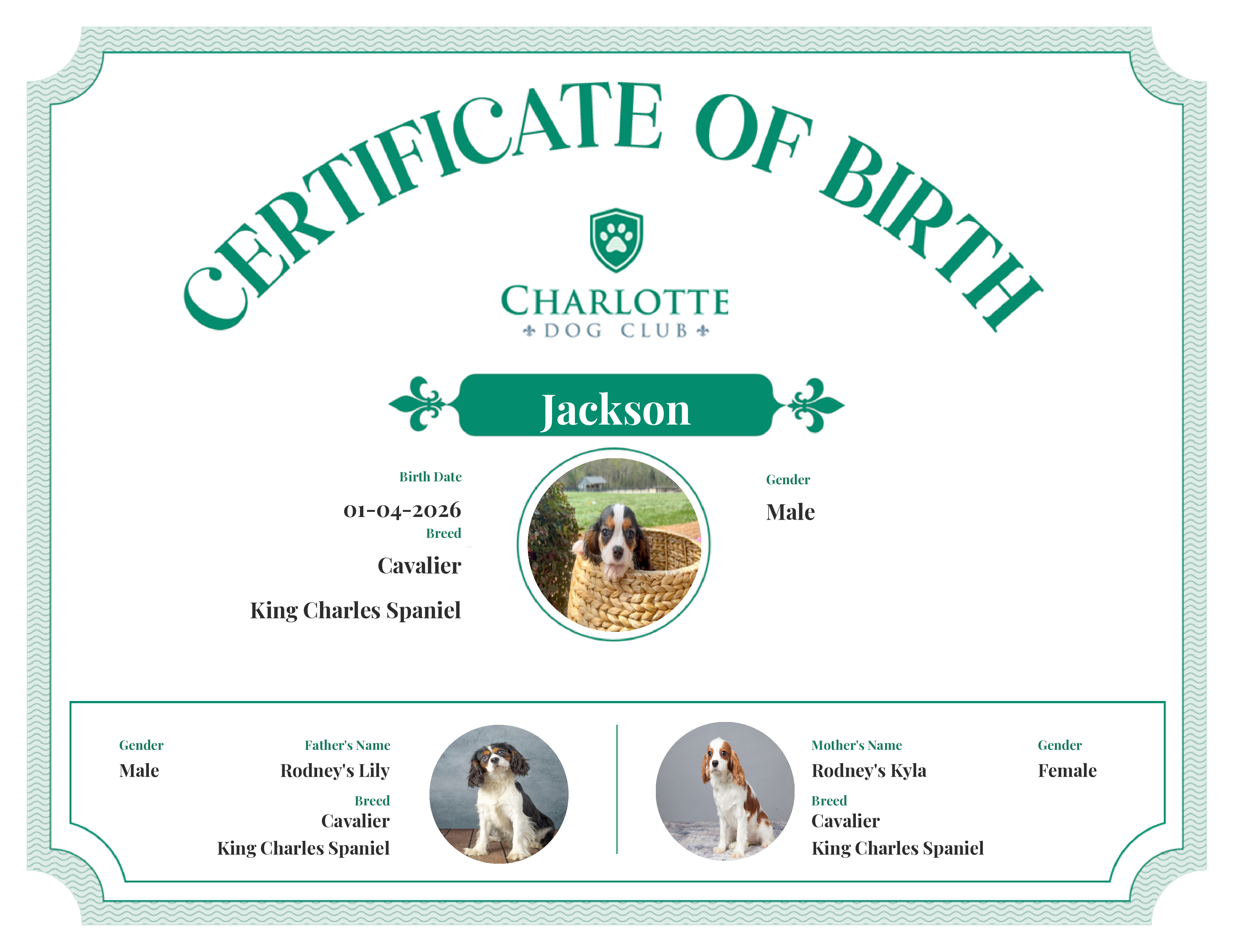 Jackson's Birth Certificate