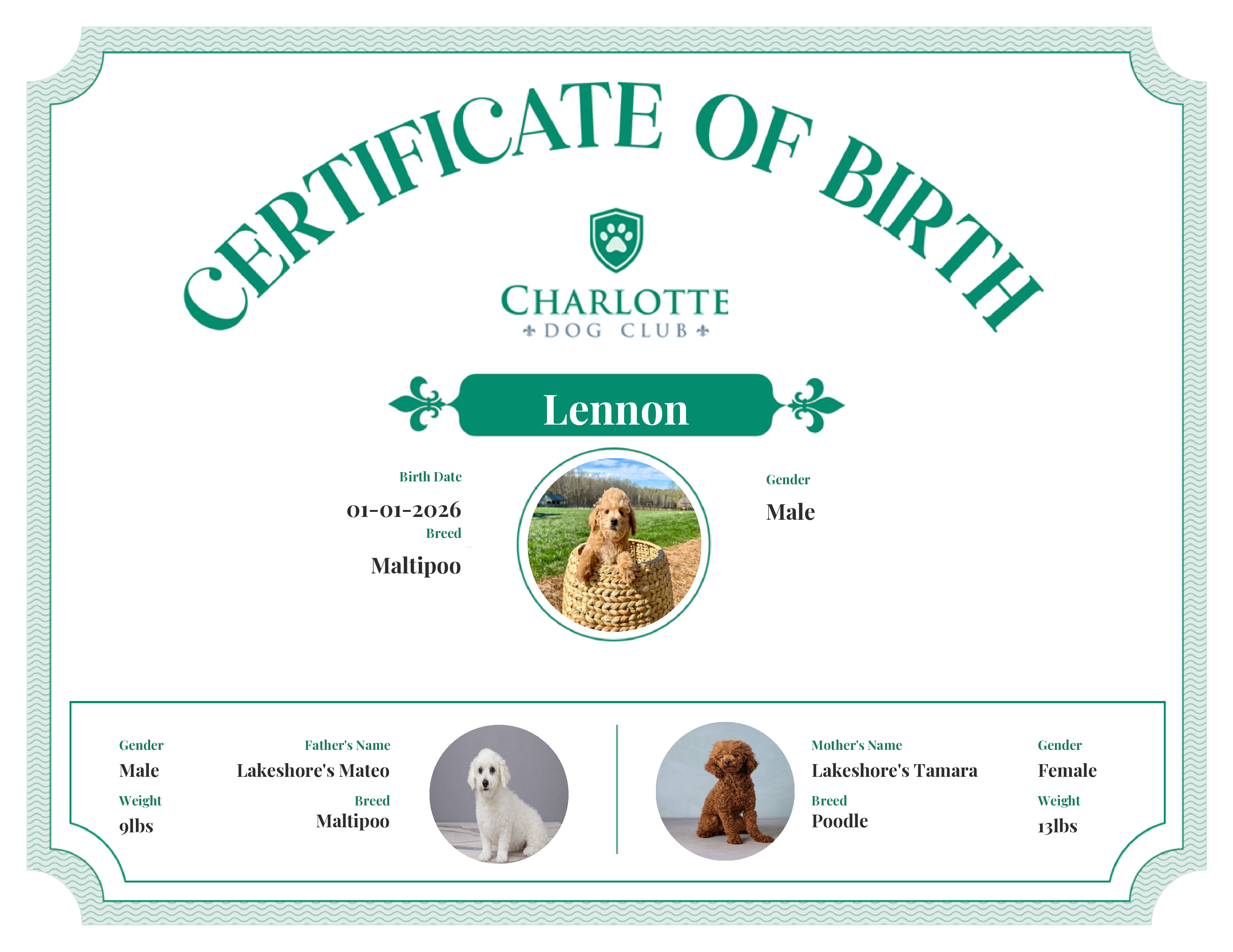 Lennon's Birth Certificate