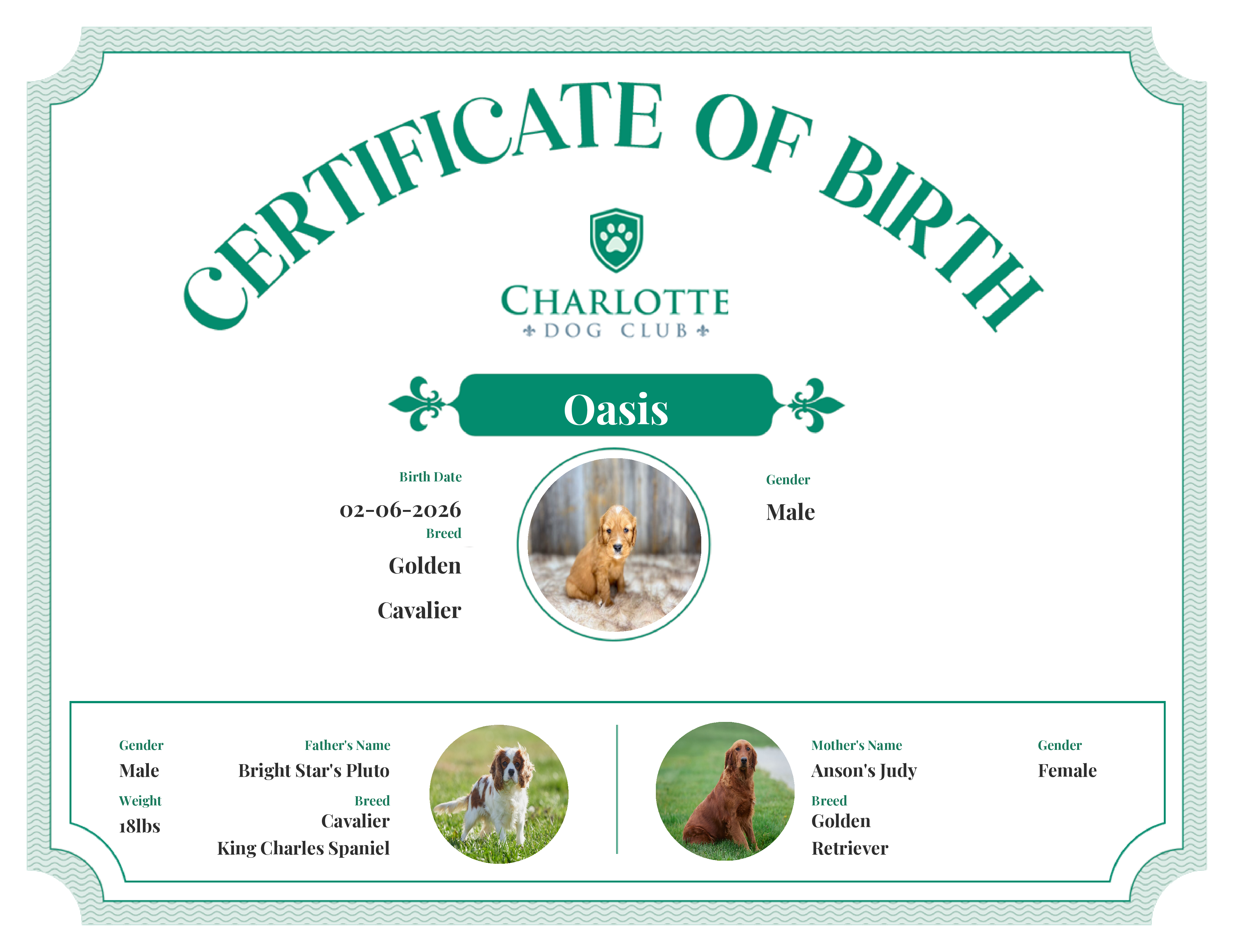Oasis's Birth Certificate
