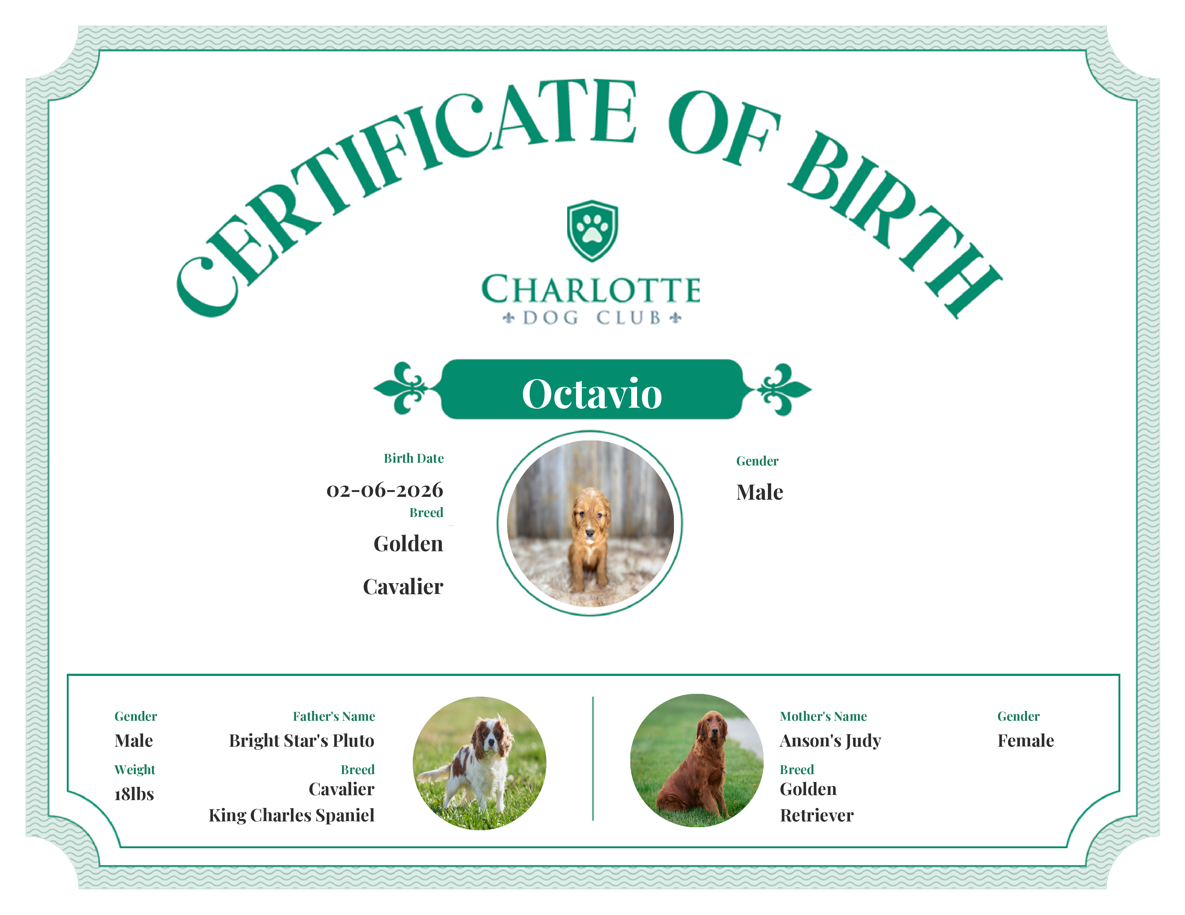 Octavio's Birth Certificate