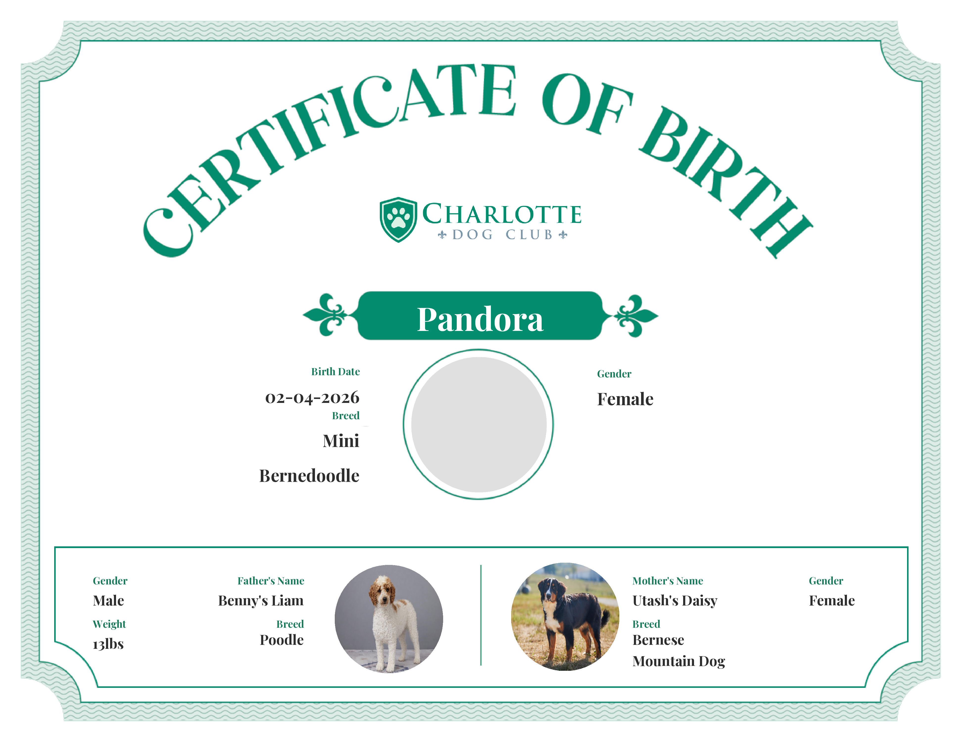 Pandora's Birth Certificate