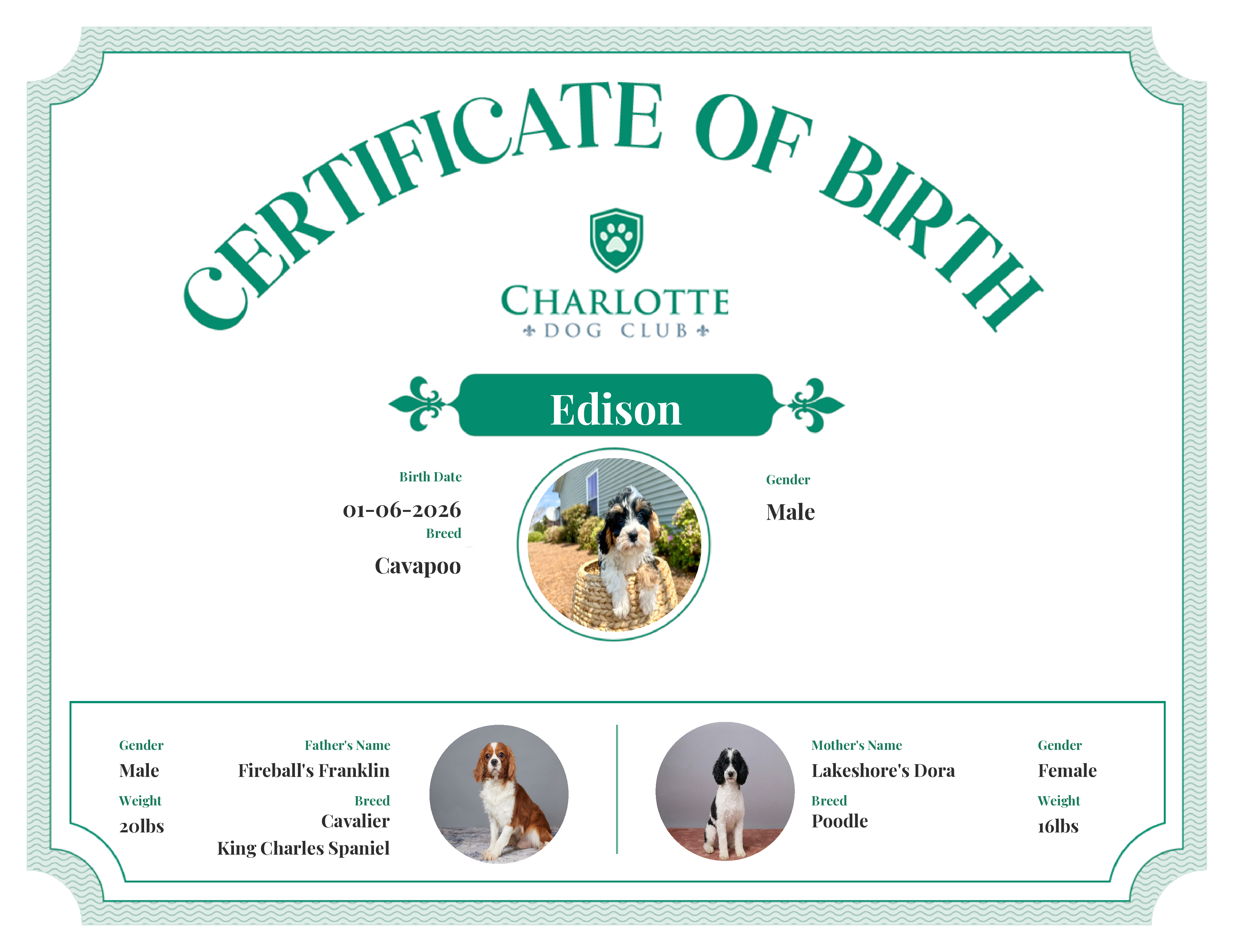 Edison's Birth Certificate