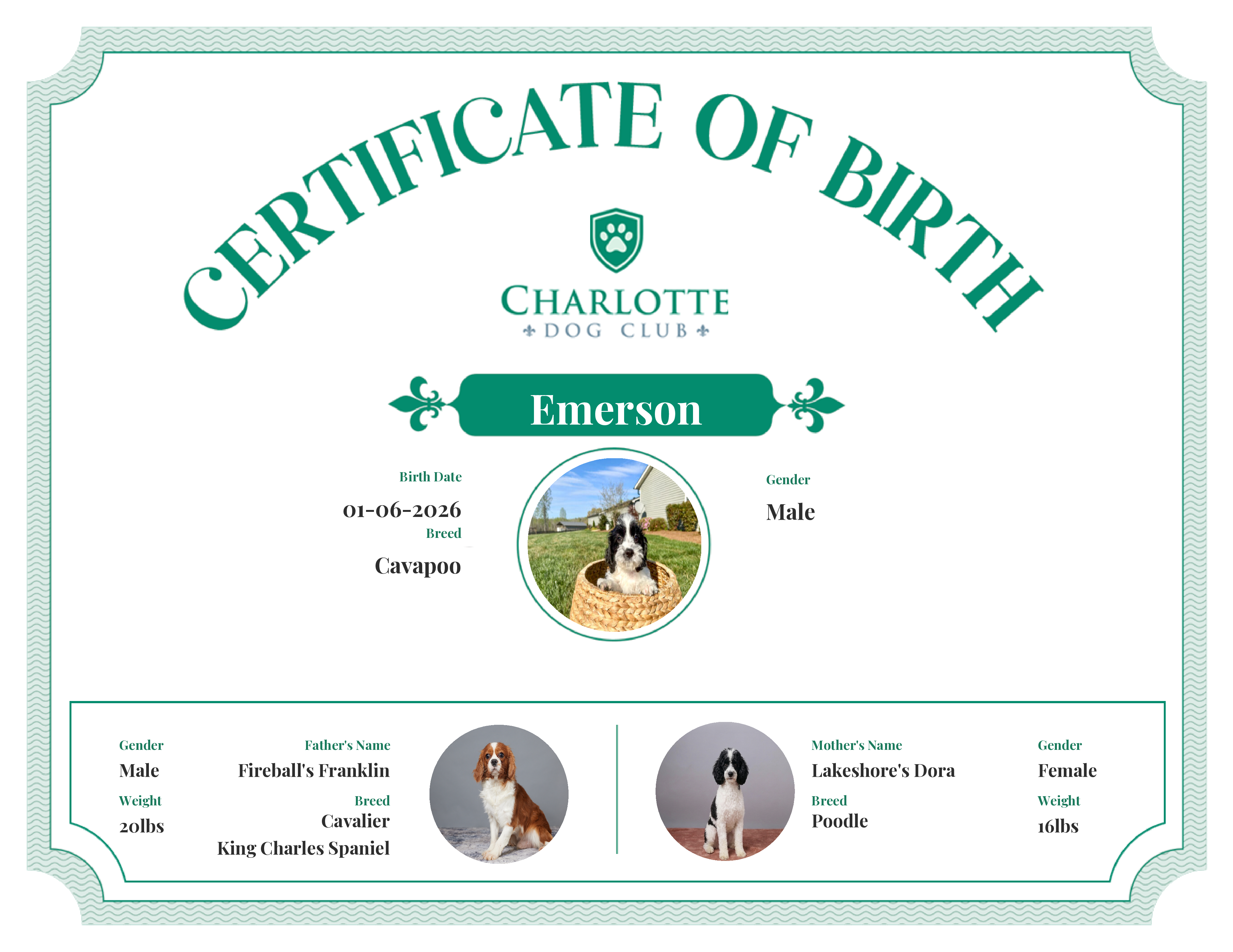 Emerson's Birth Certificate