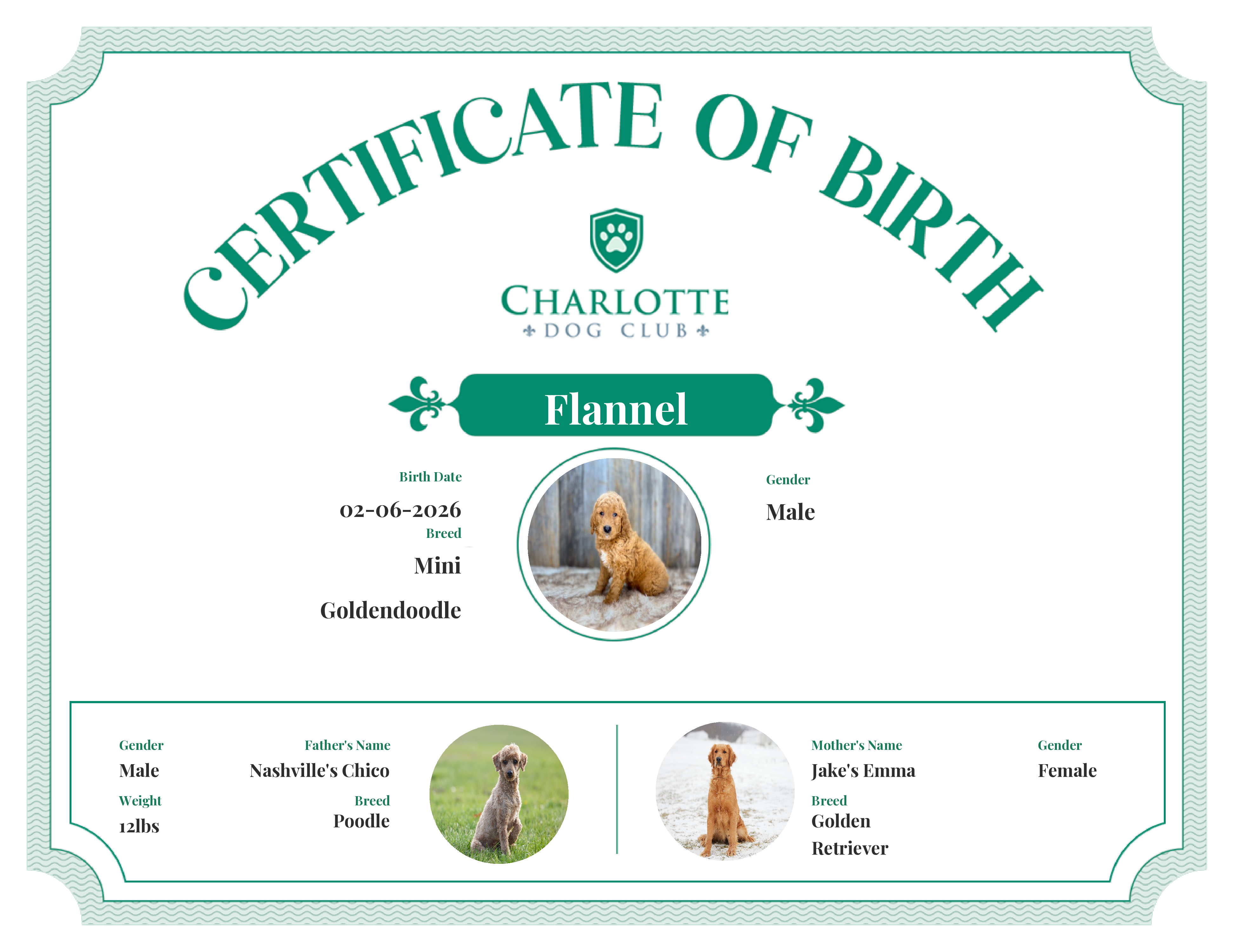 Flannel's Birth Certificate