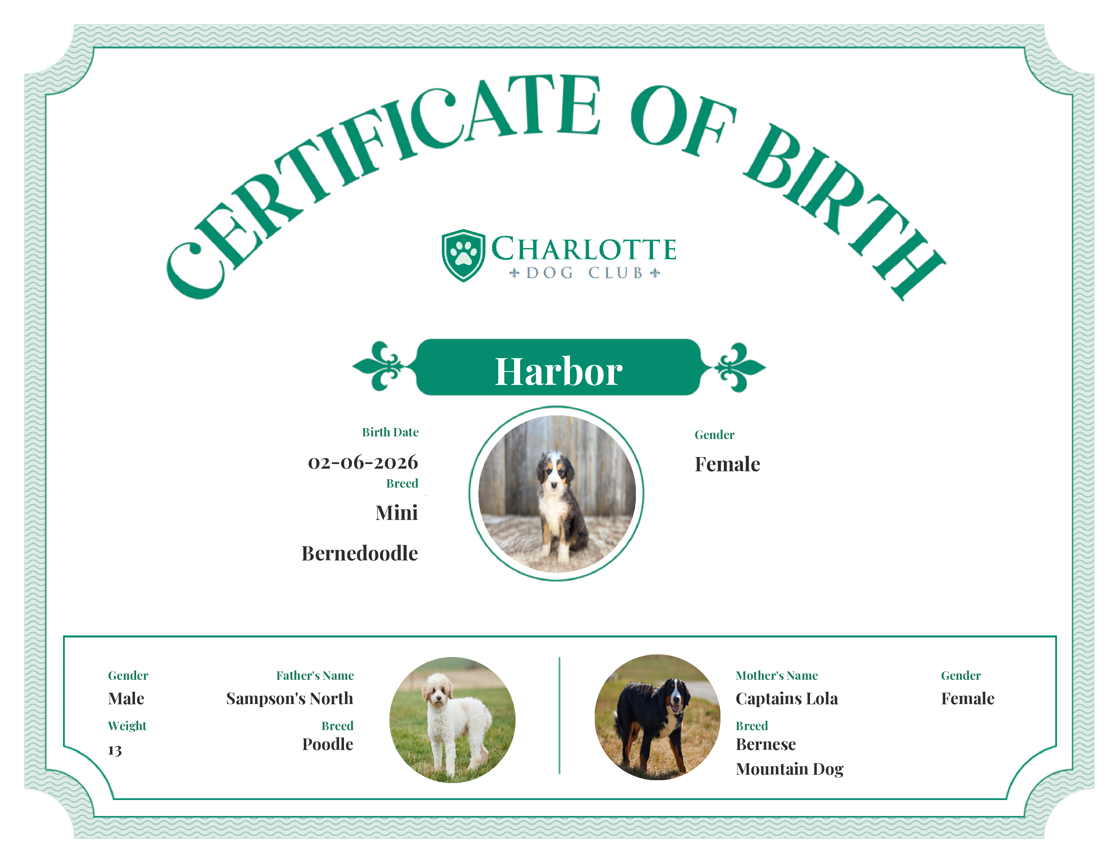 Harbor's Birth Certificate