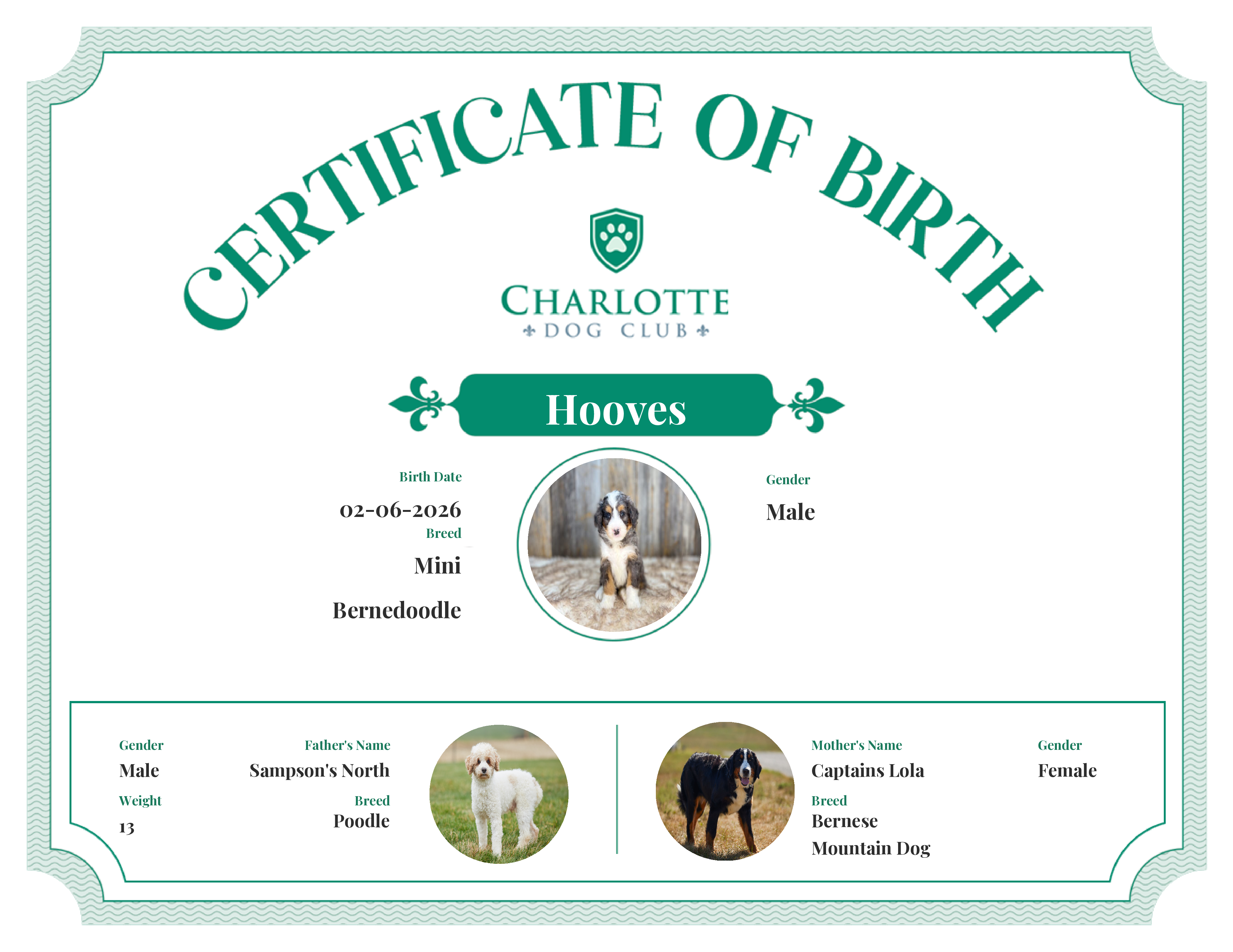 Hooves's Birth Certificate