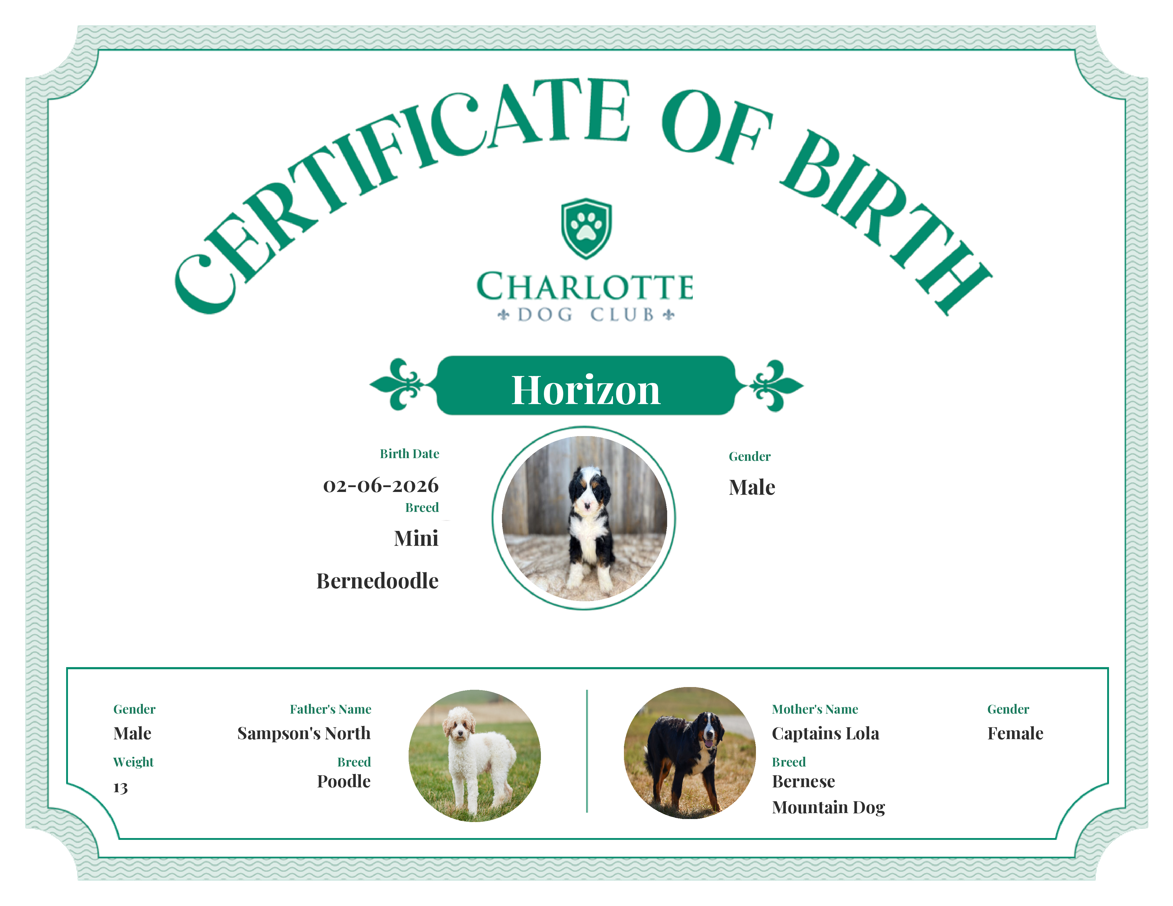 Horizon's Birth Certificate