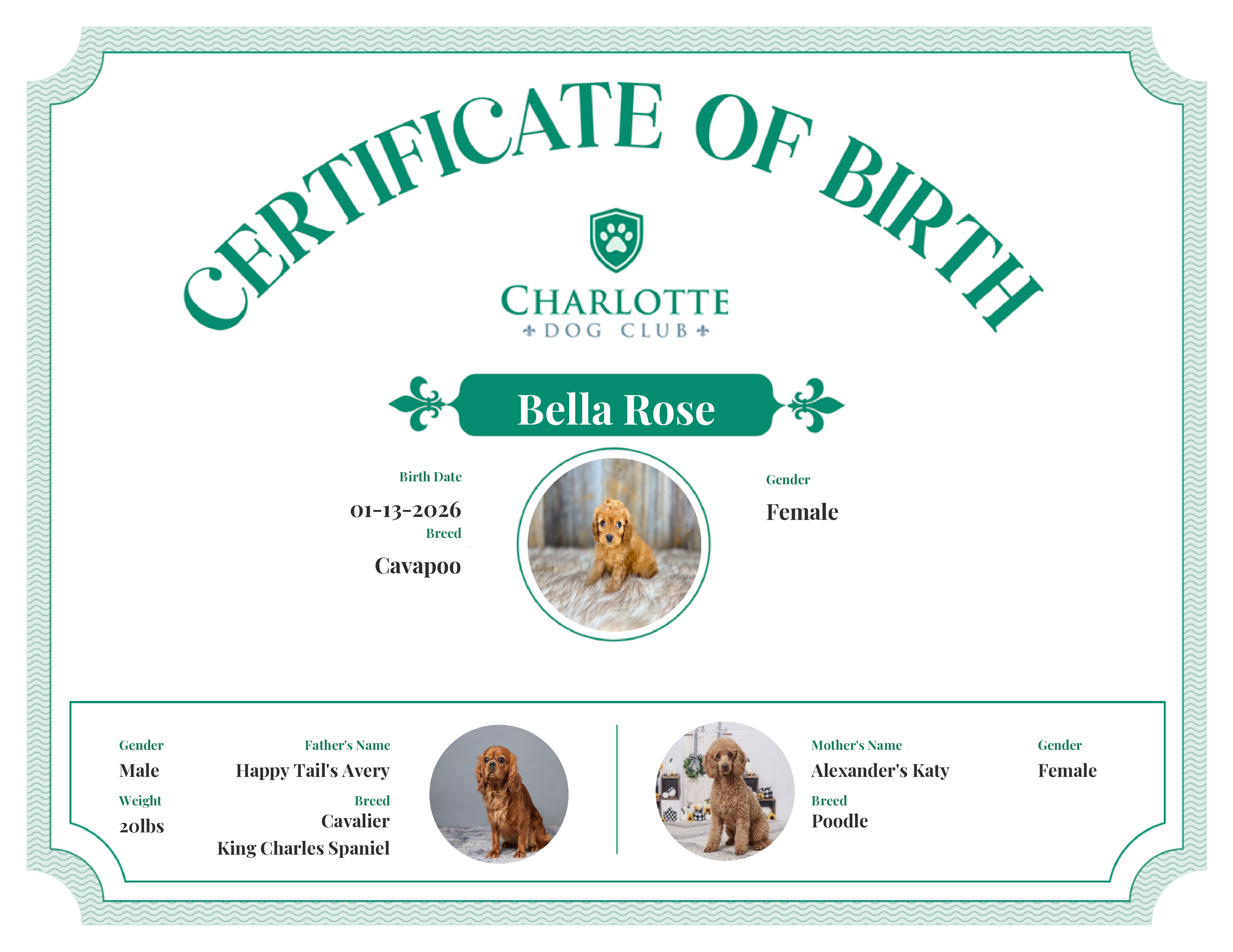 Bella Rose's Birth Certificate