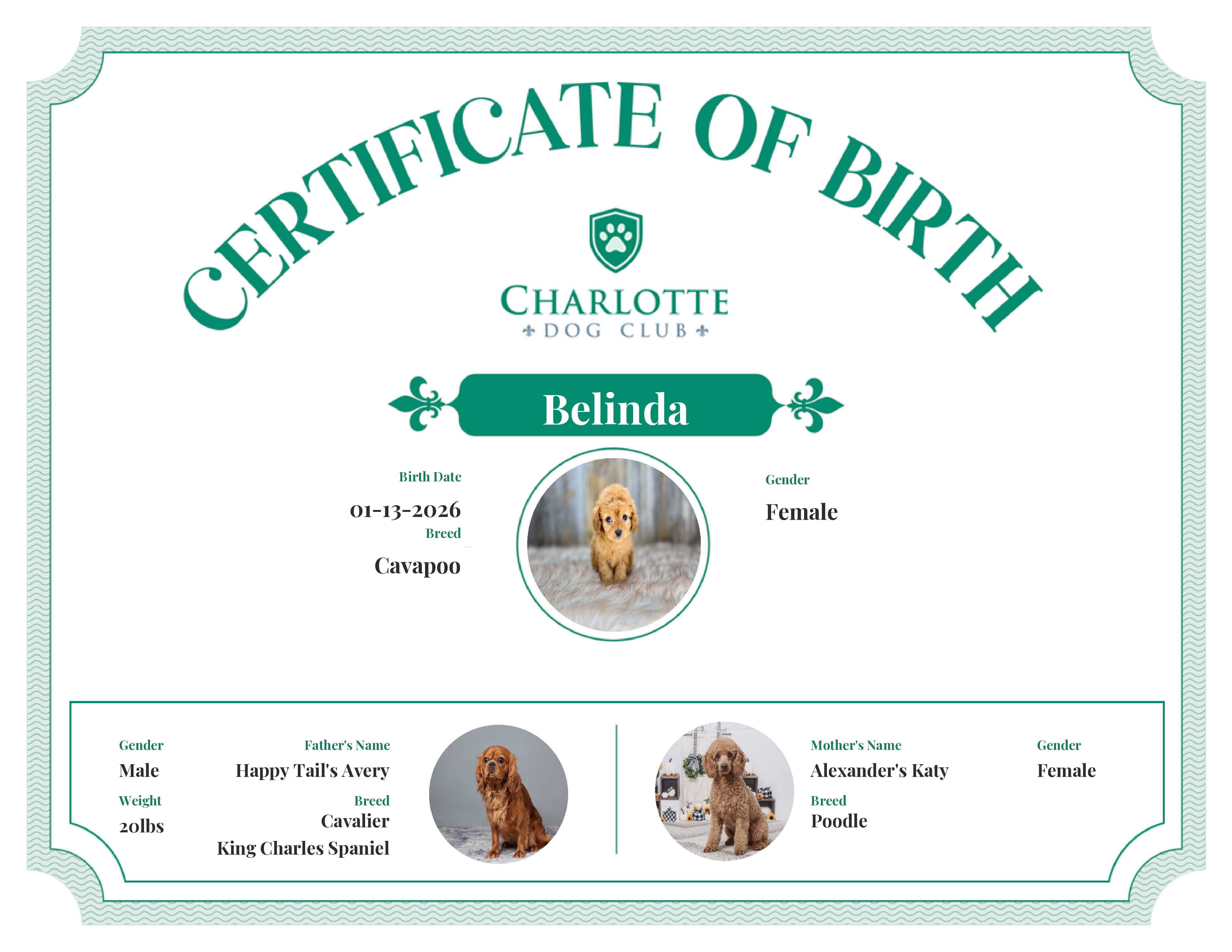 Belinda's Birth Certificate