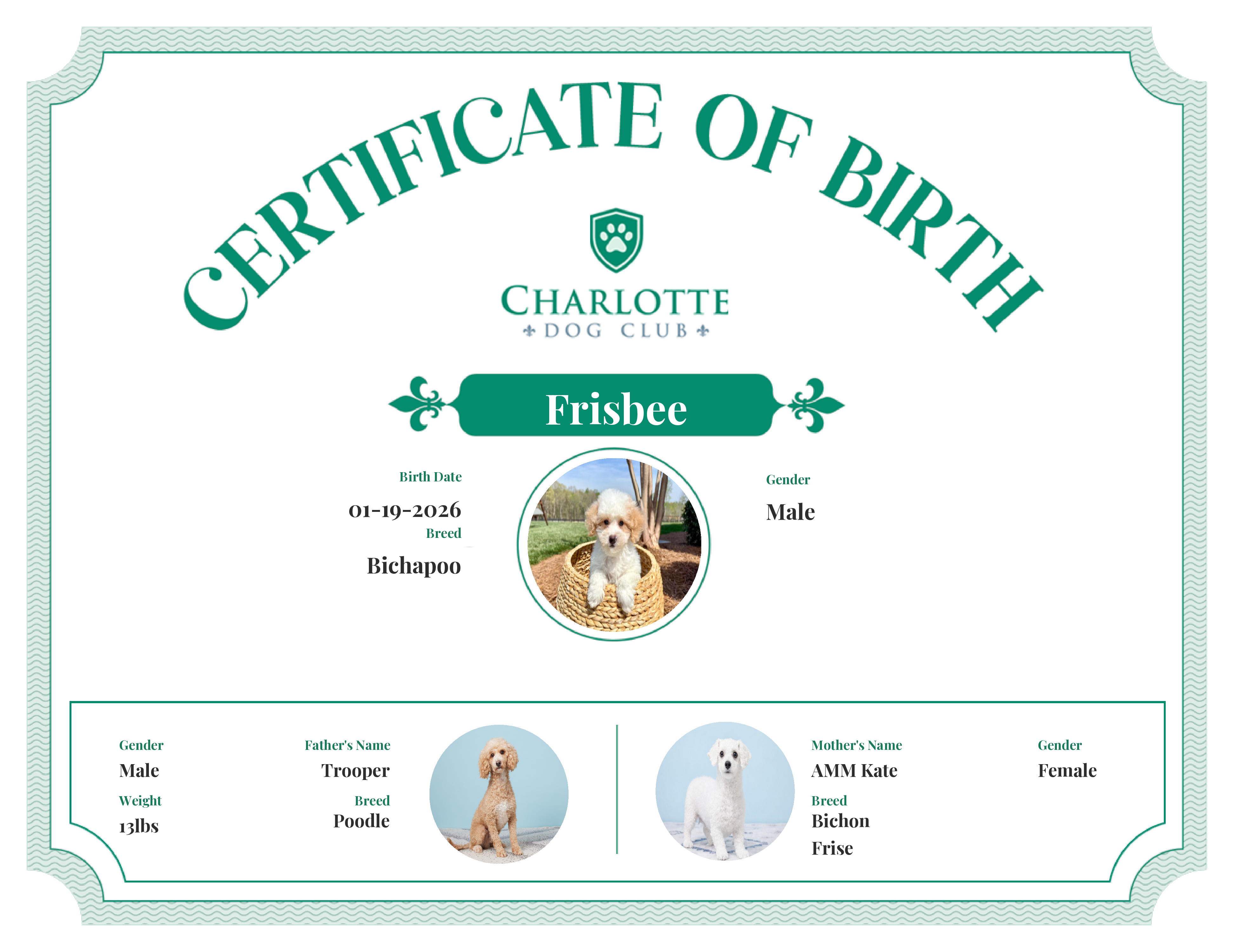 Frisbee's Birth Certificate