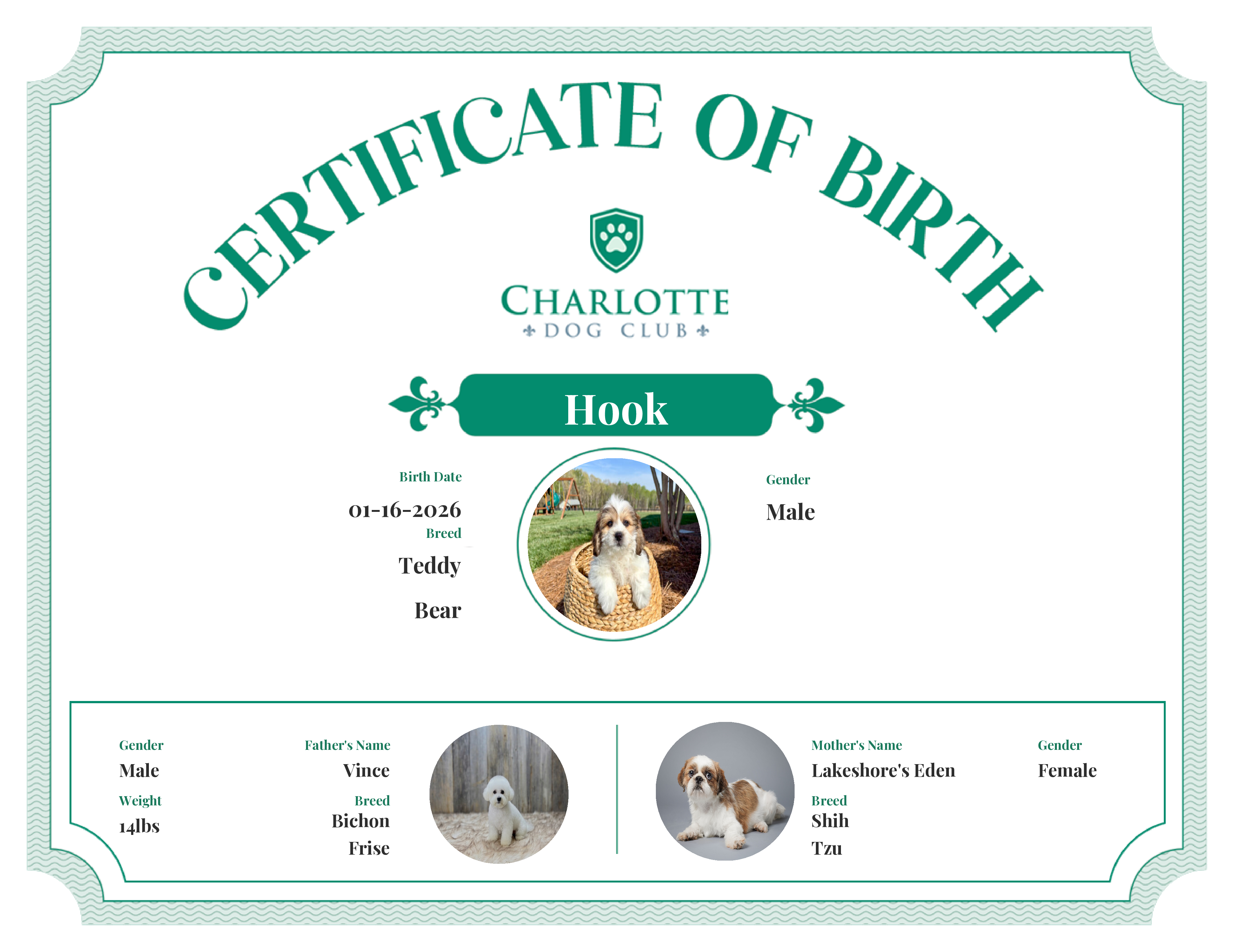 Hook's Birth Certificate