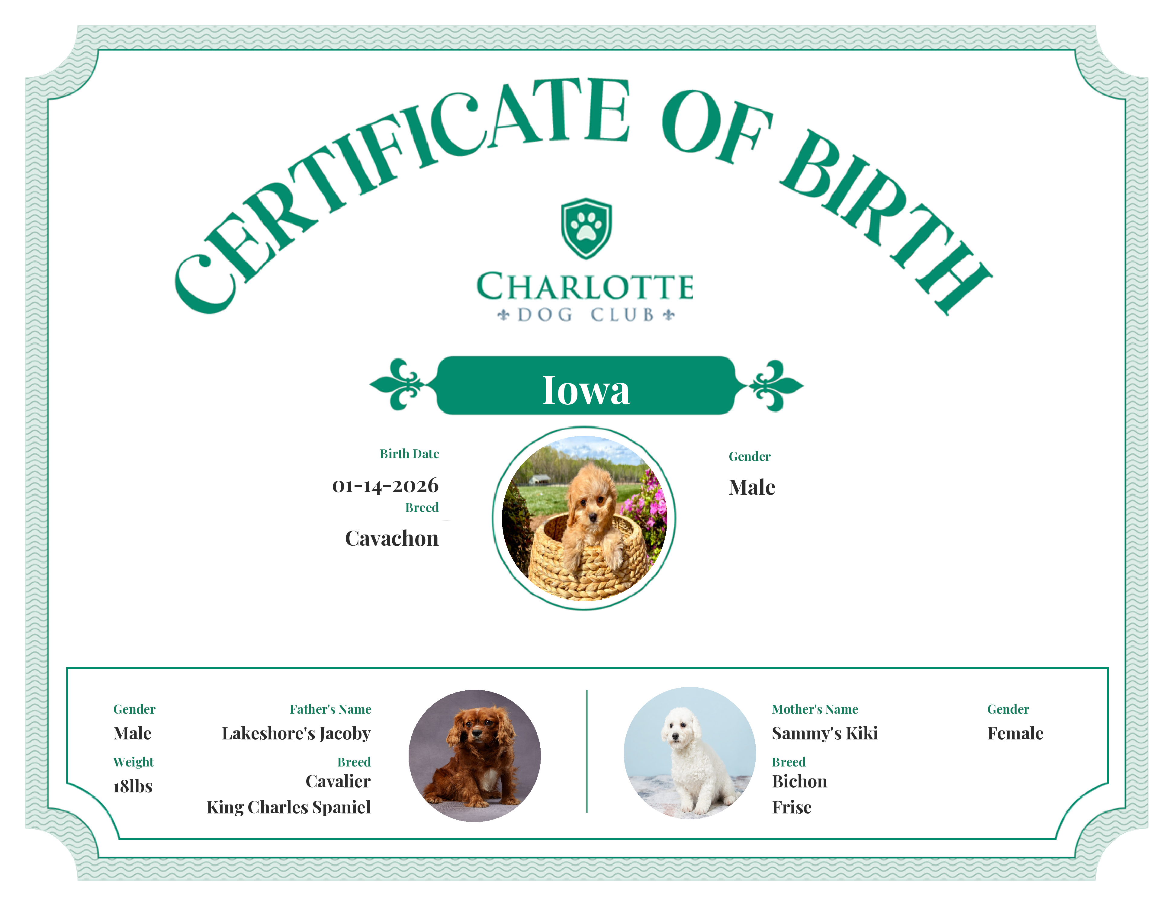 Iowa's Birth Certificate