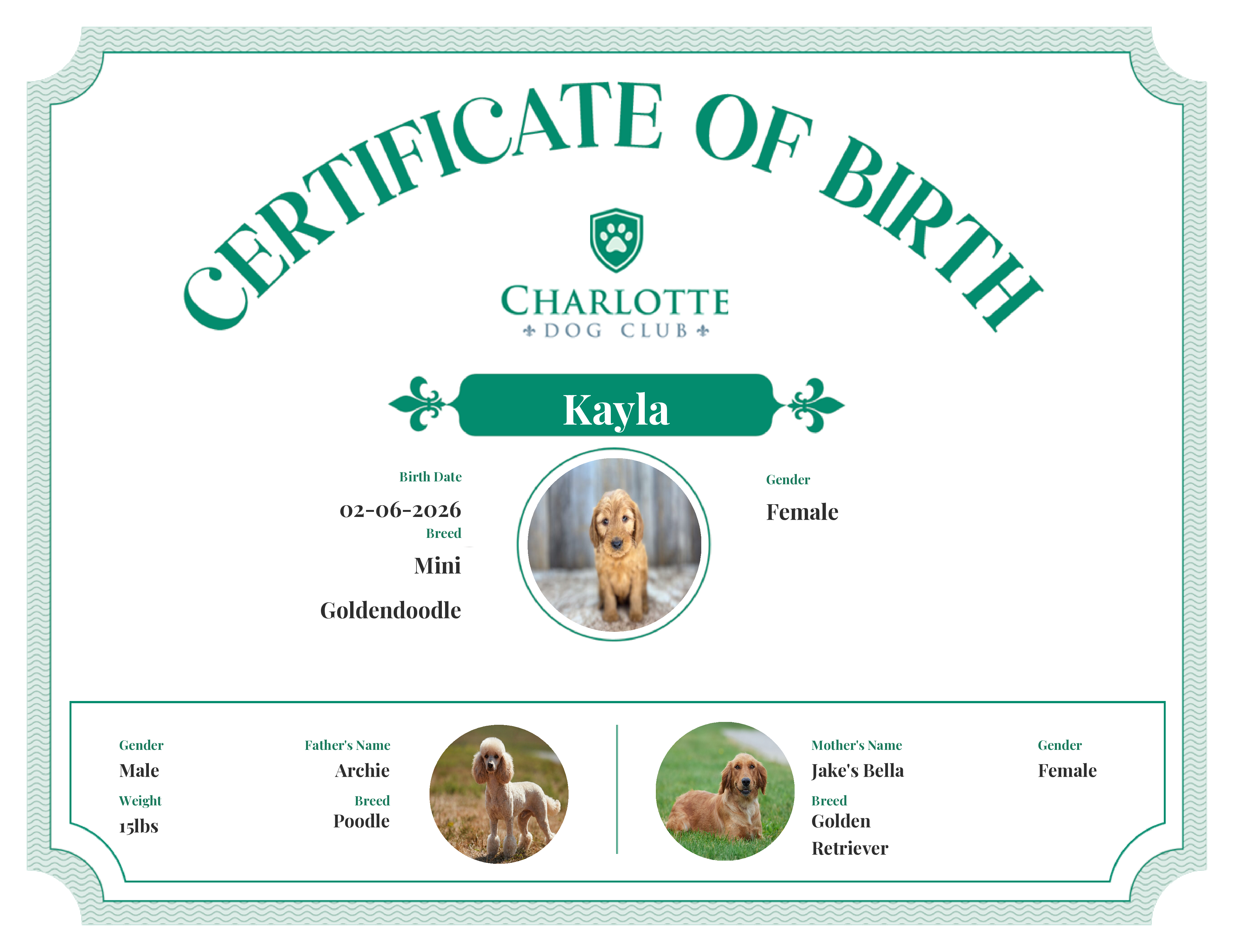 Kayla's Birth Certificate