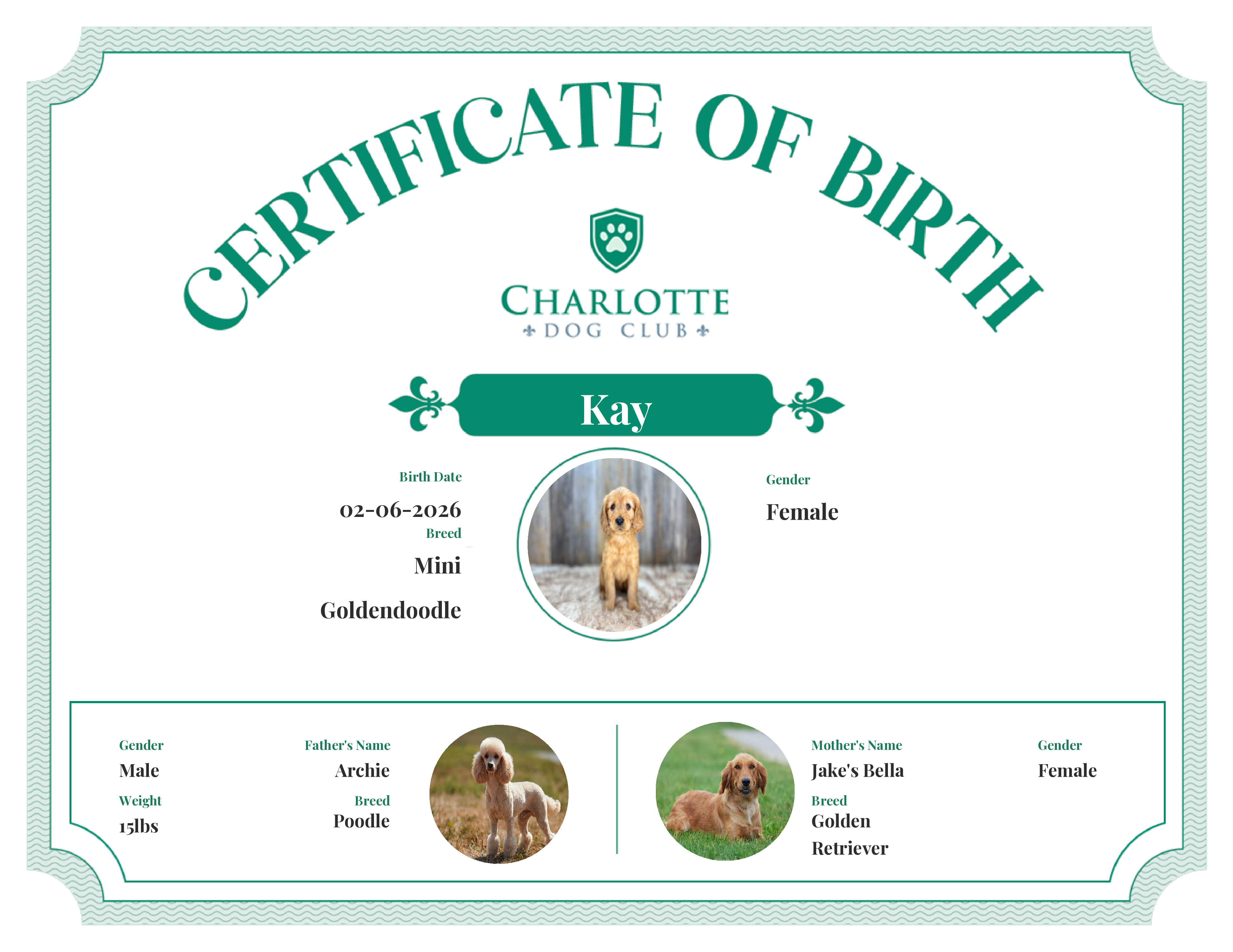 Kay's Birth Certificate