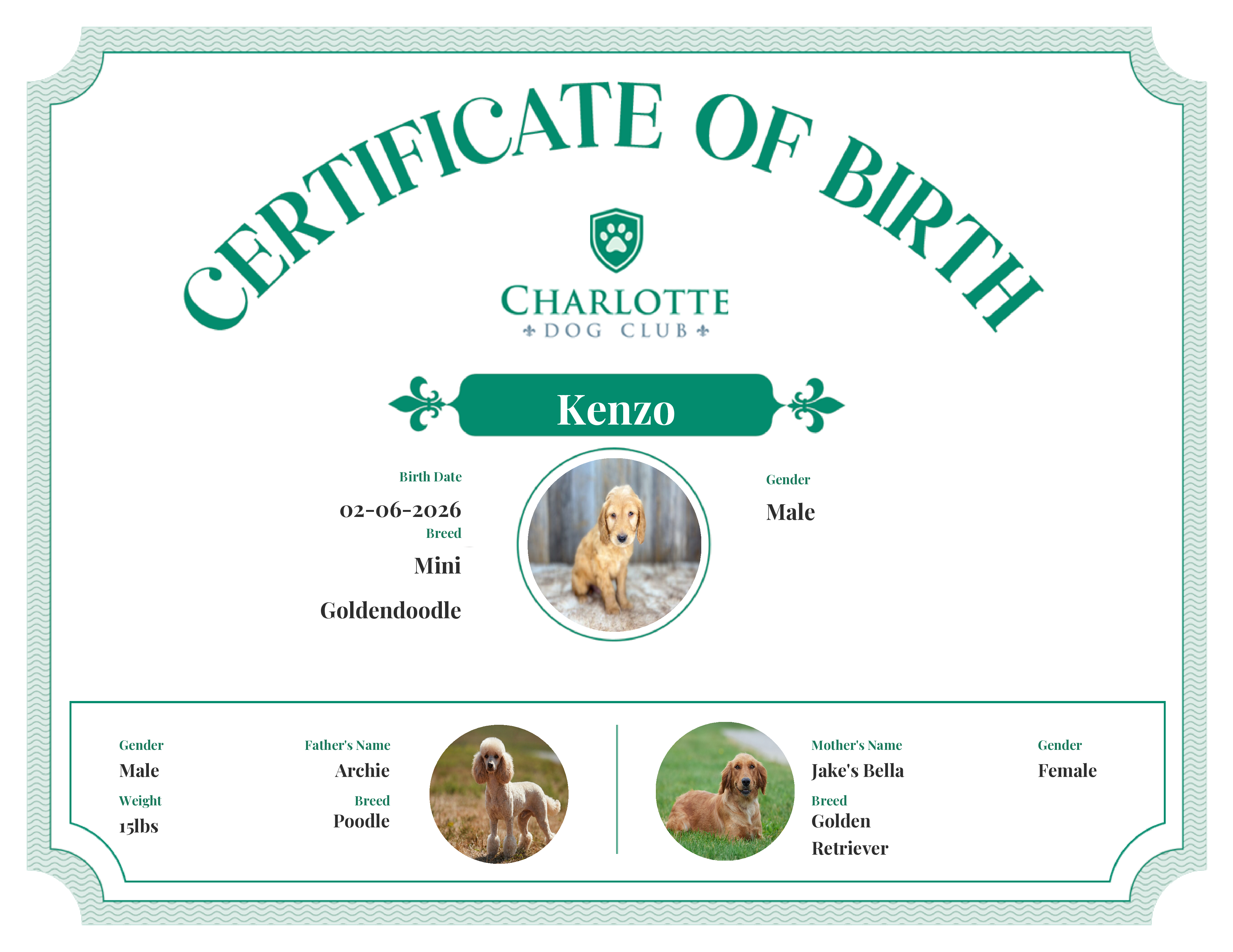 Kenzo's Birth Certificate