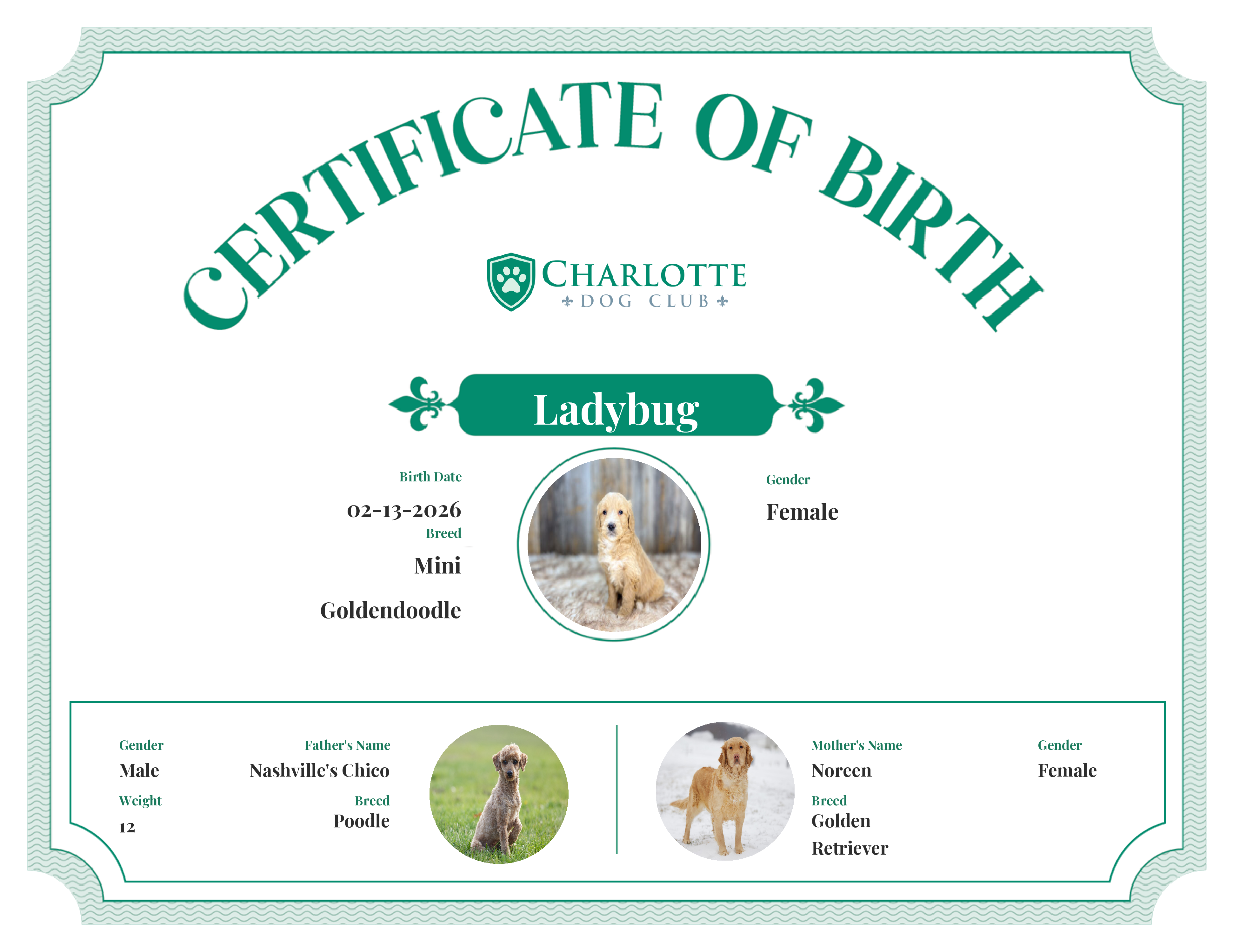 Ladybug's Birth Certificate