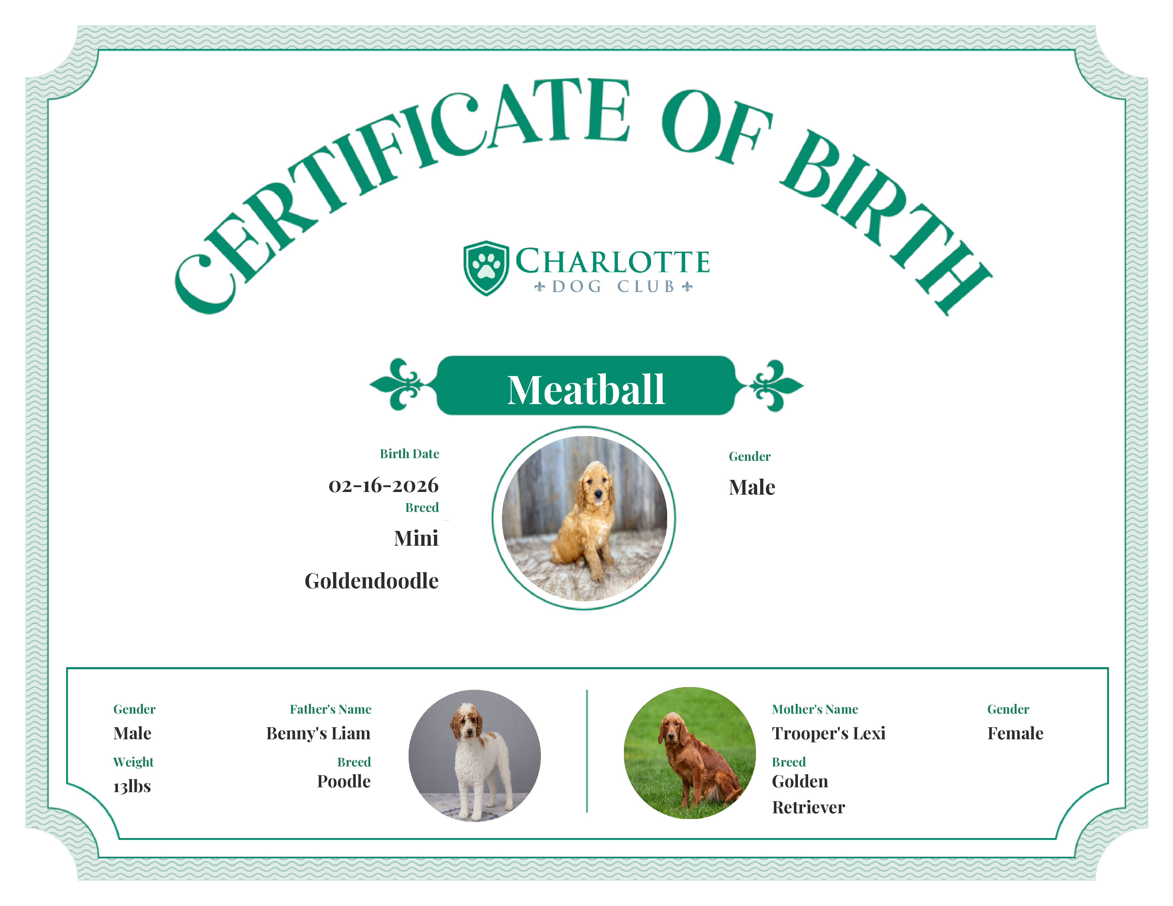 Meatball*'s Birth Certificate