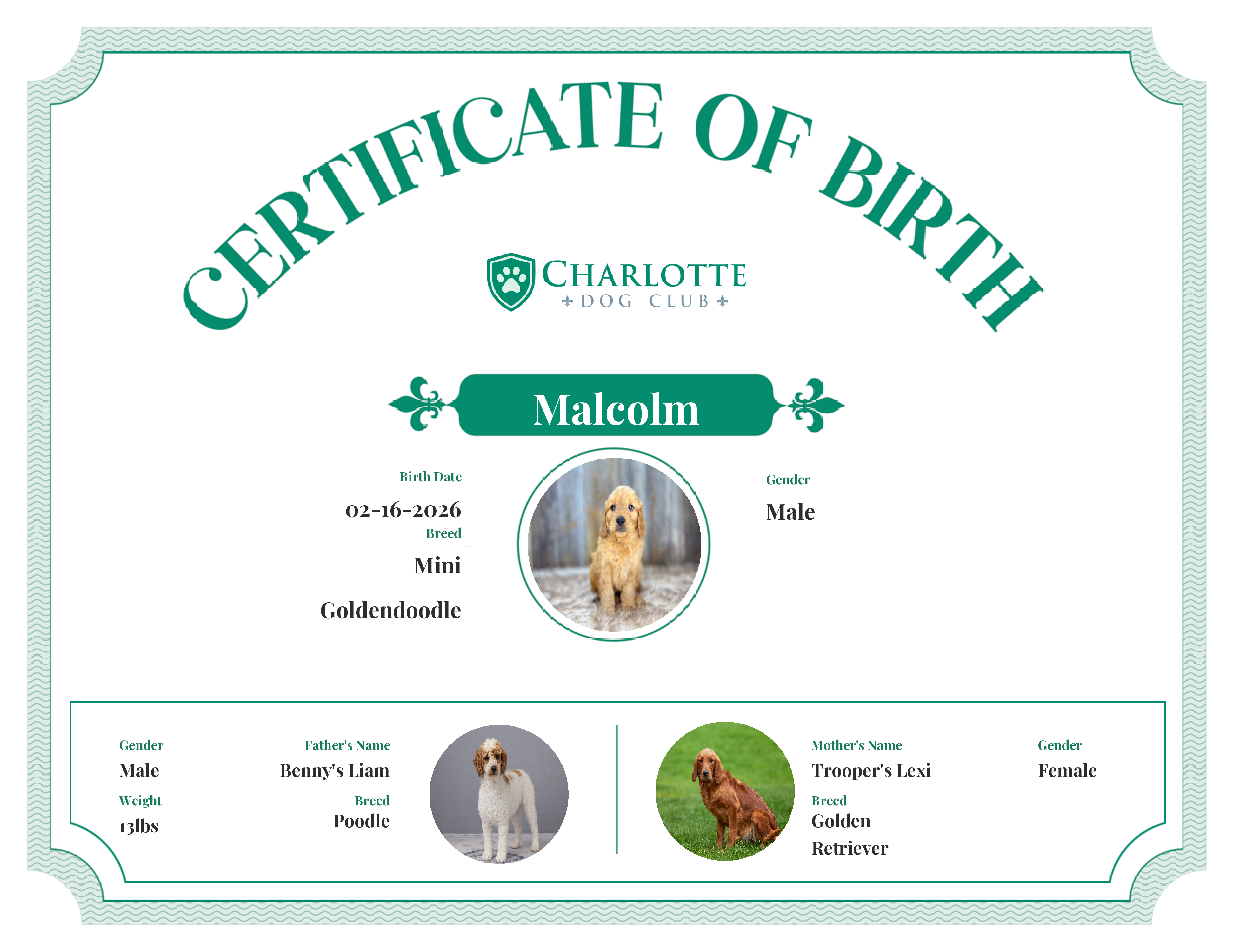 Malcolm's Birth Certificate