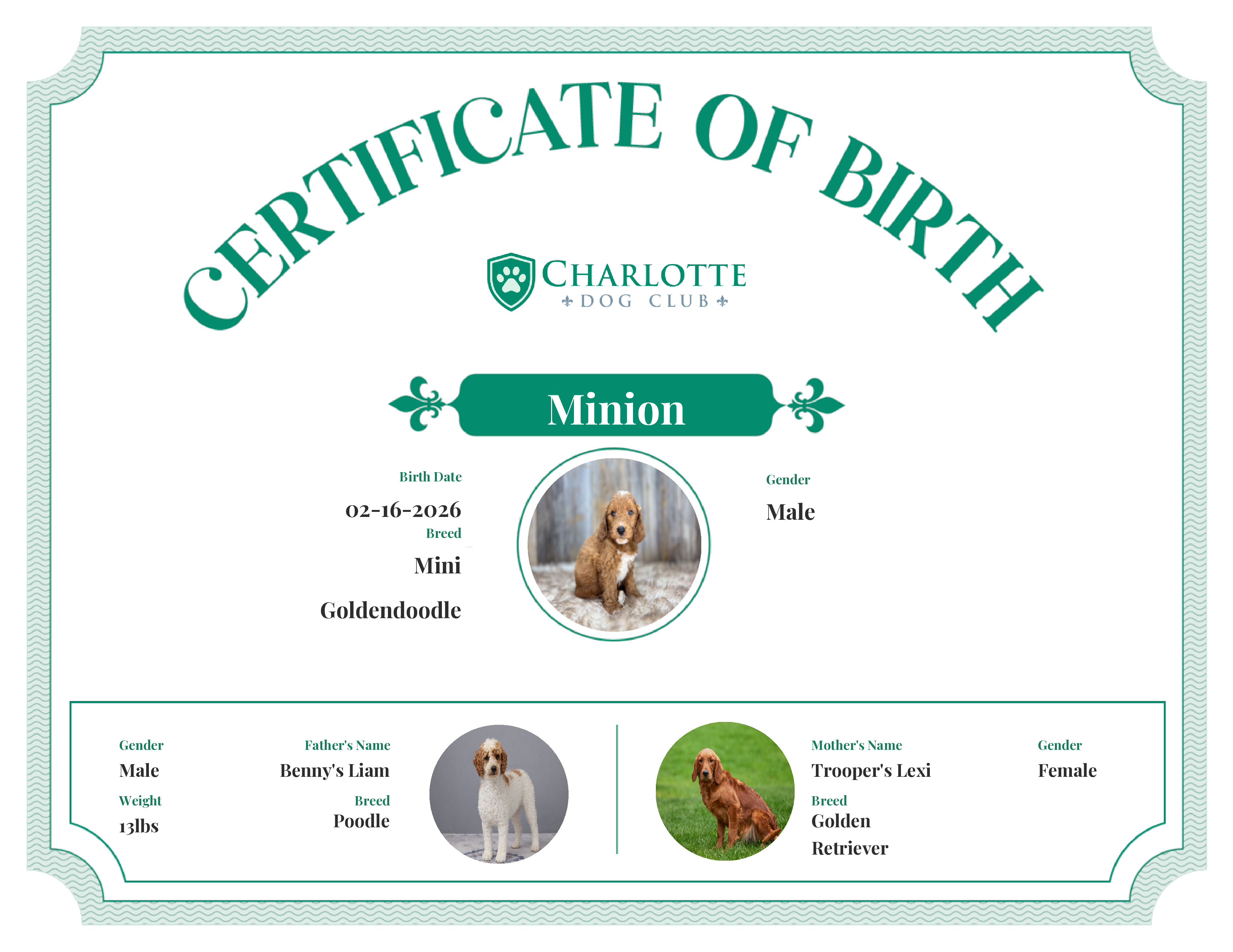 Minion's Birth Certificate