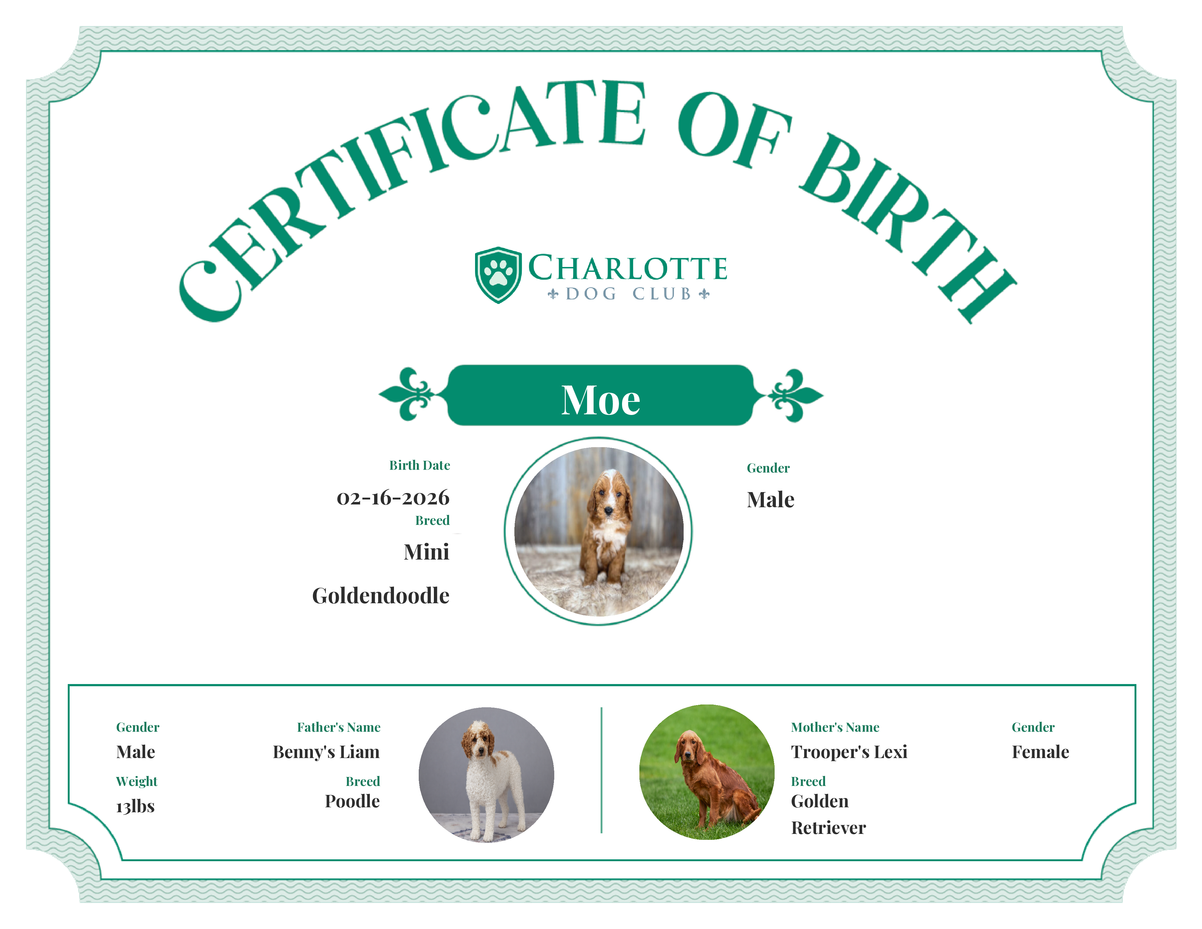 Moe's Birth Certificate