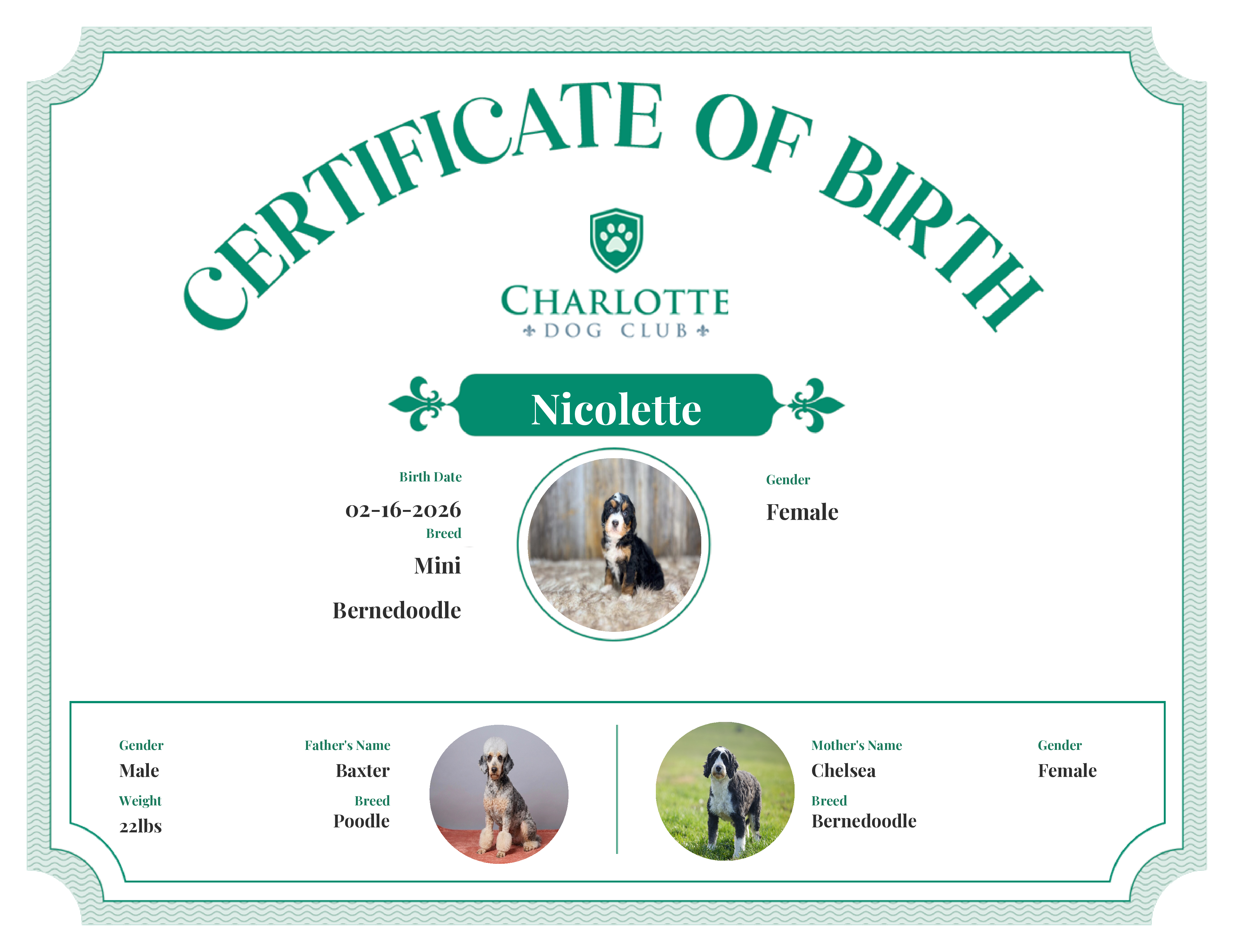 Nicolette's Birth Certificate