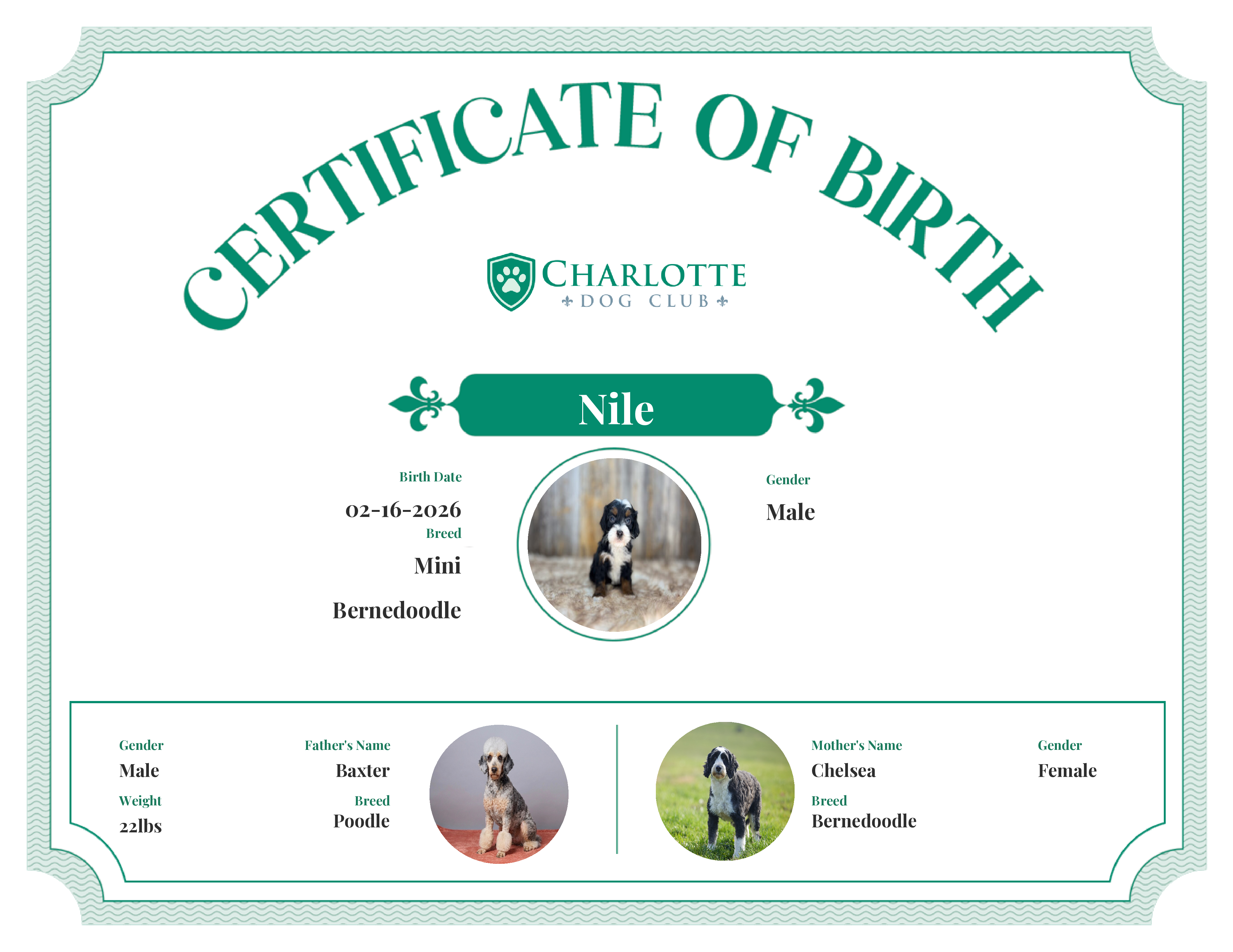 Nile's Birth Certificate