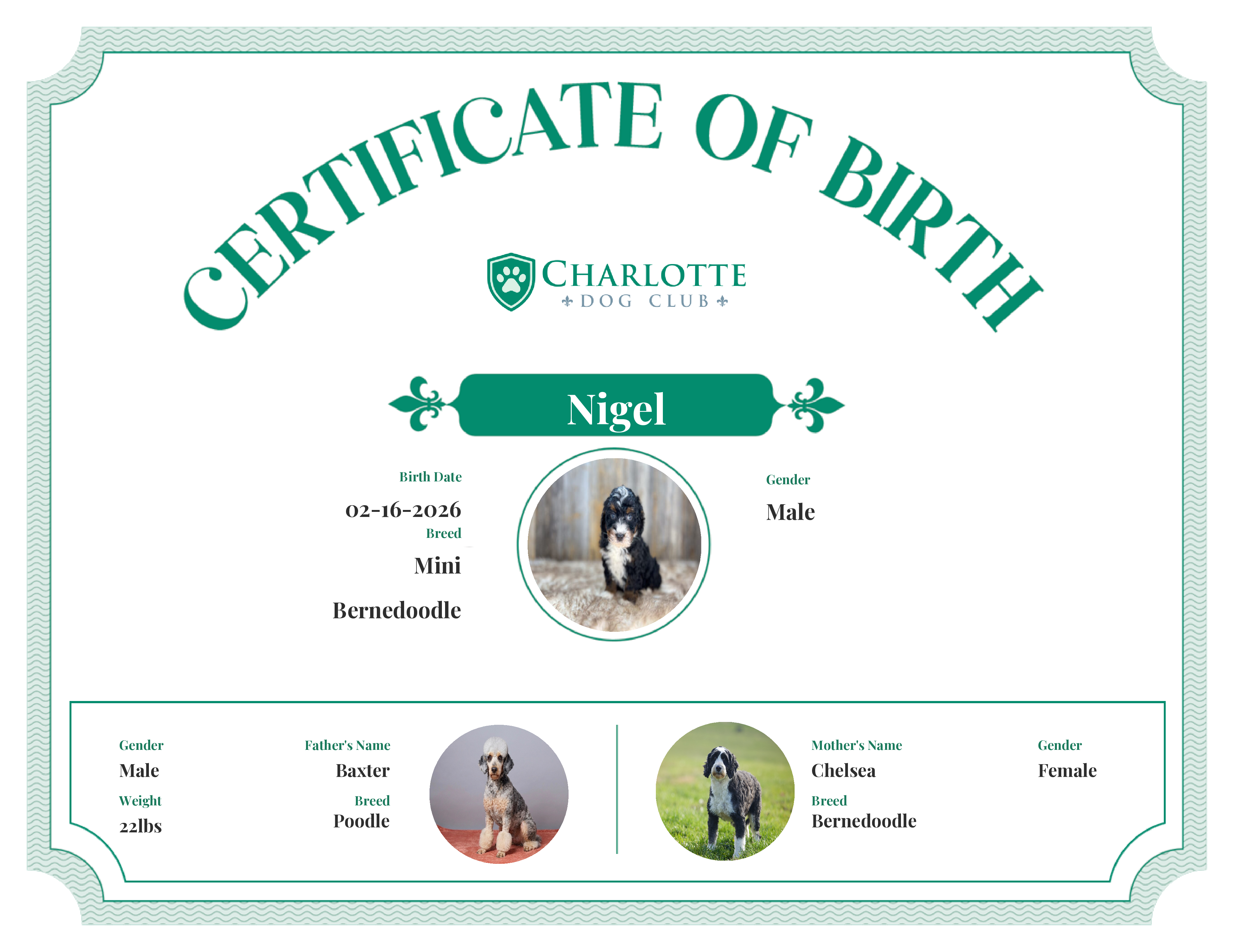 Nigel's Birth Certificate