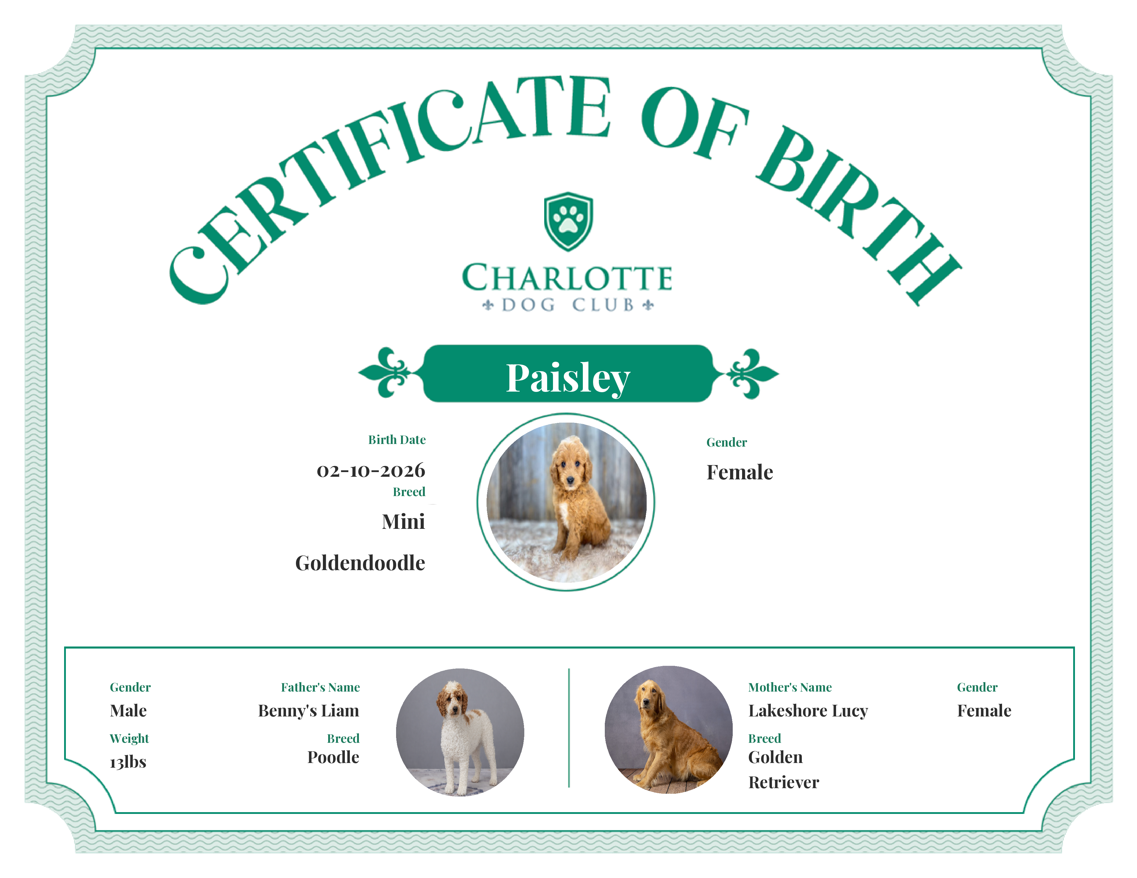Paisley's Birth Certificate