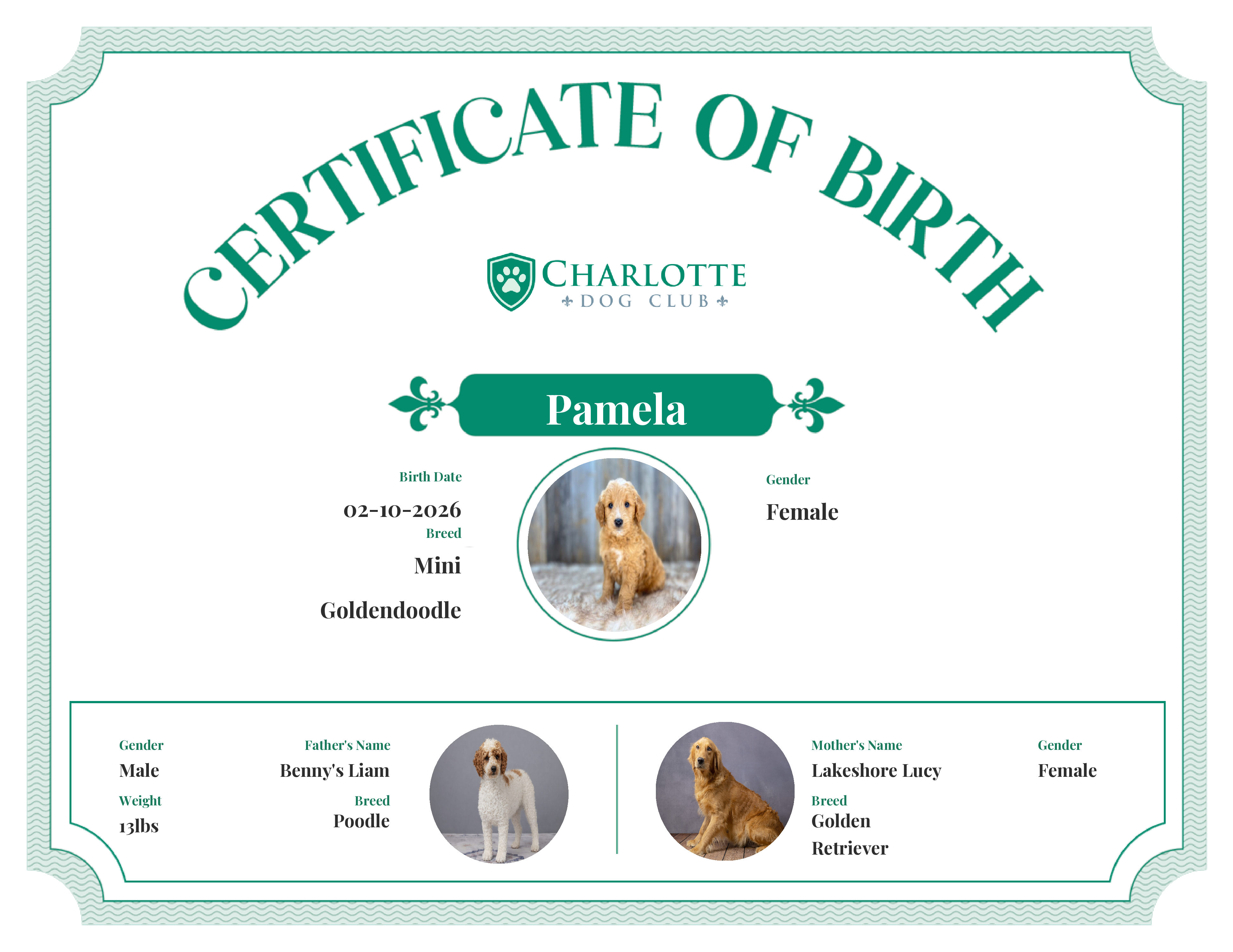 Pamela's Birth Certificate