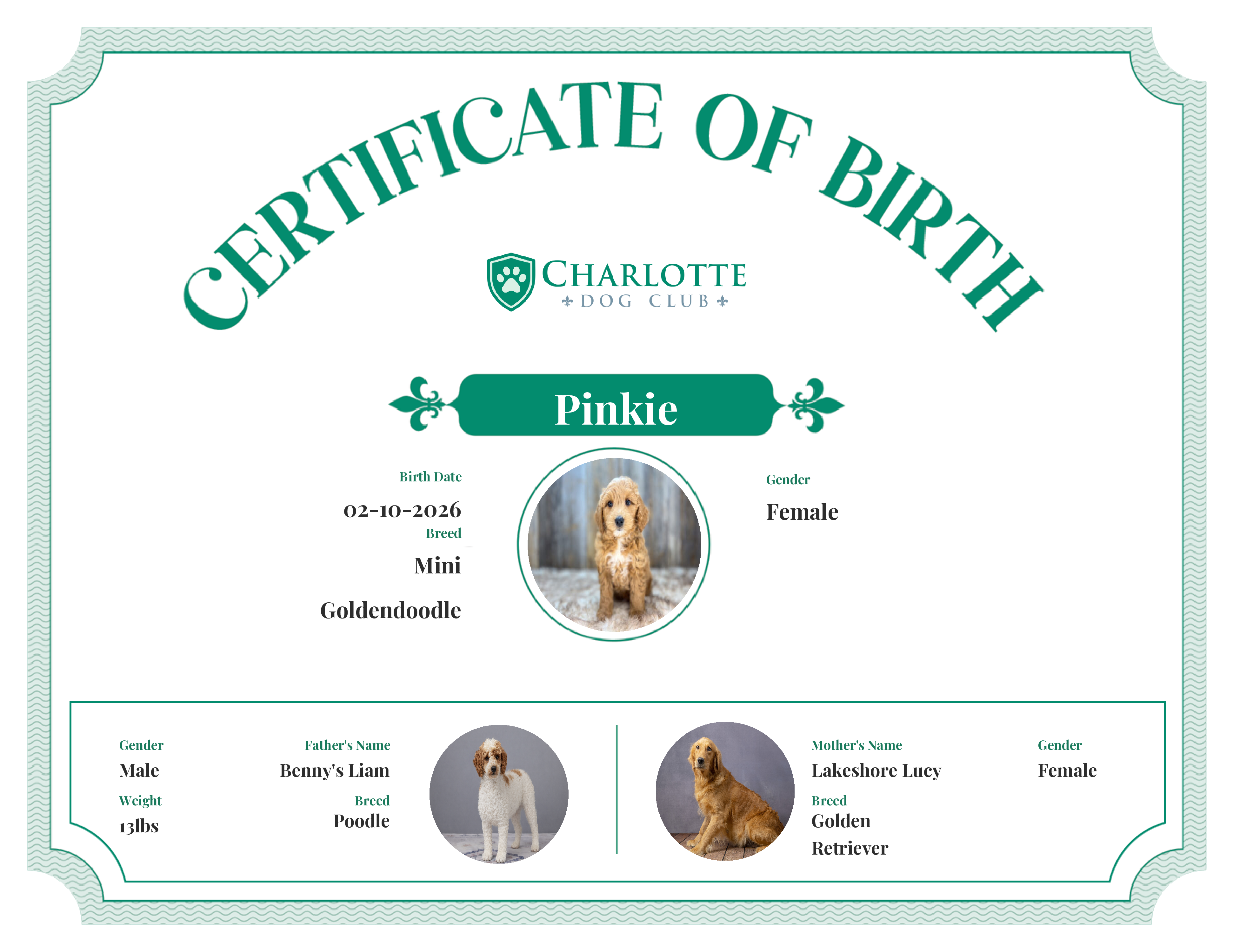 Pinkie's Birth Certificate