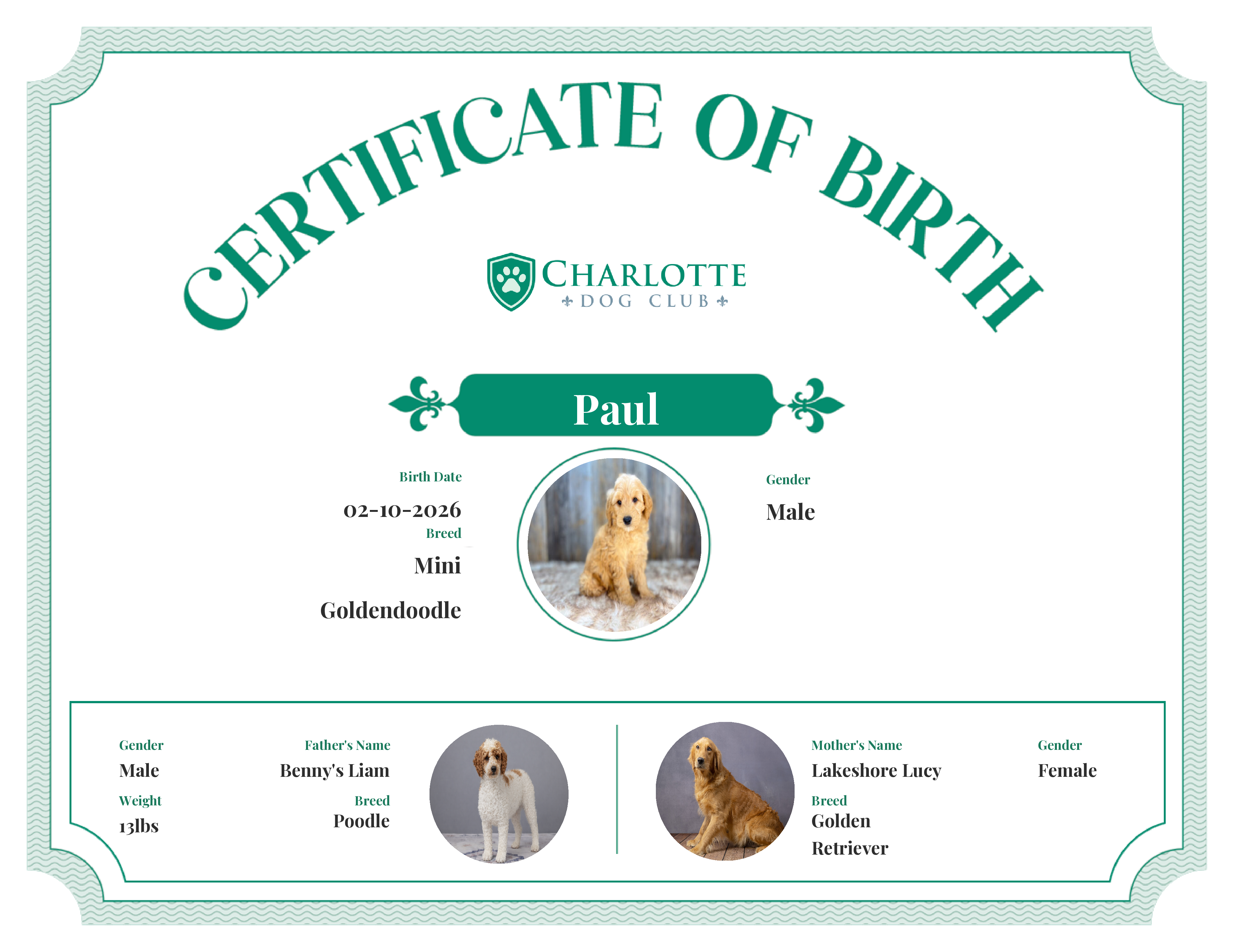 Paul*'s Birth Certificate