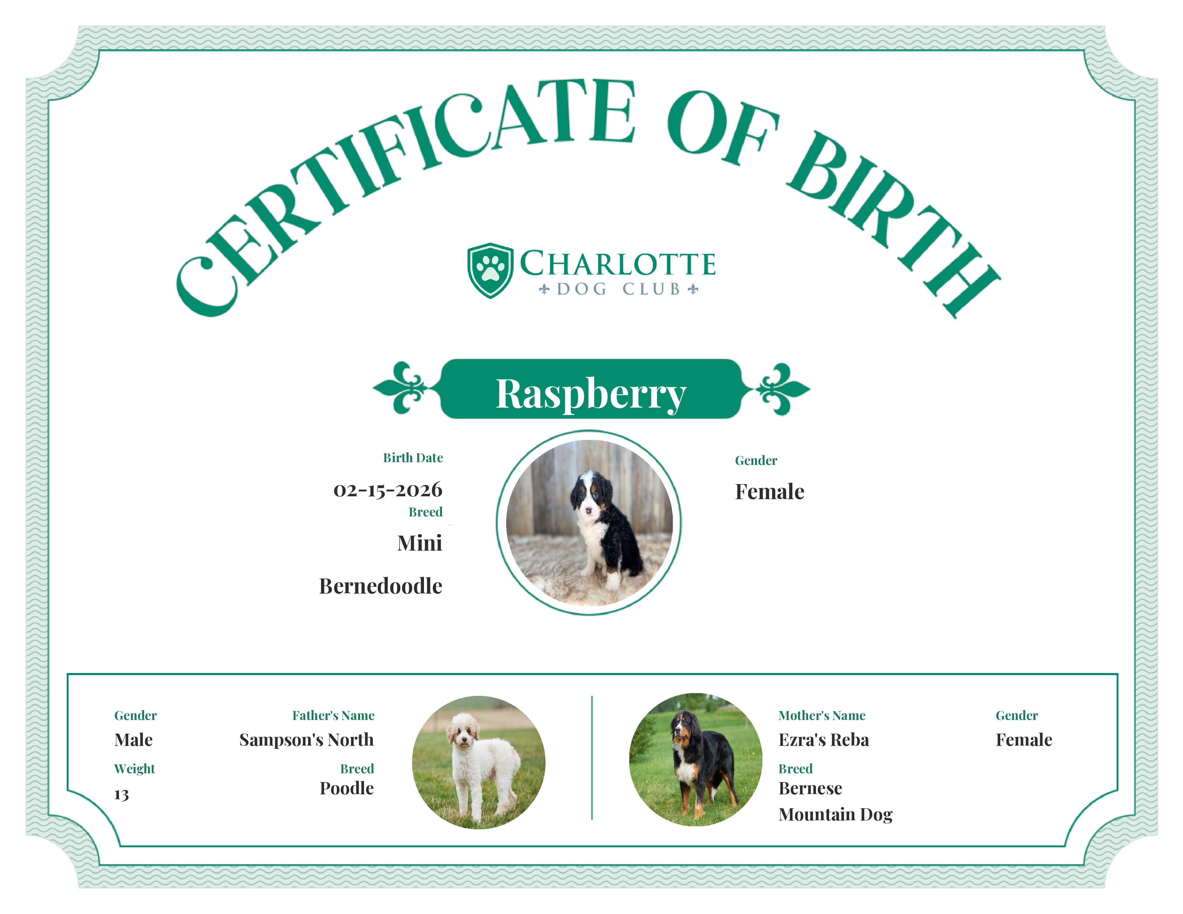 Raspberry's Birth Certificate