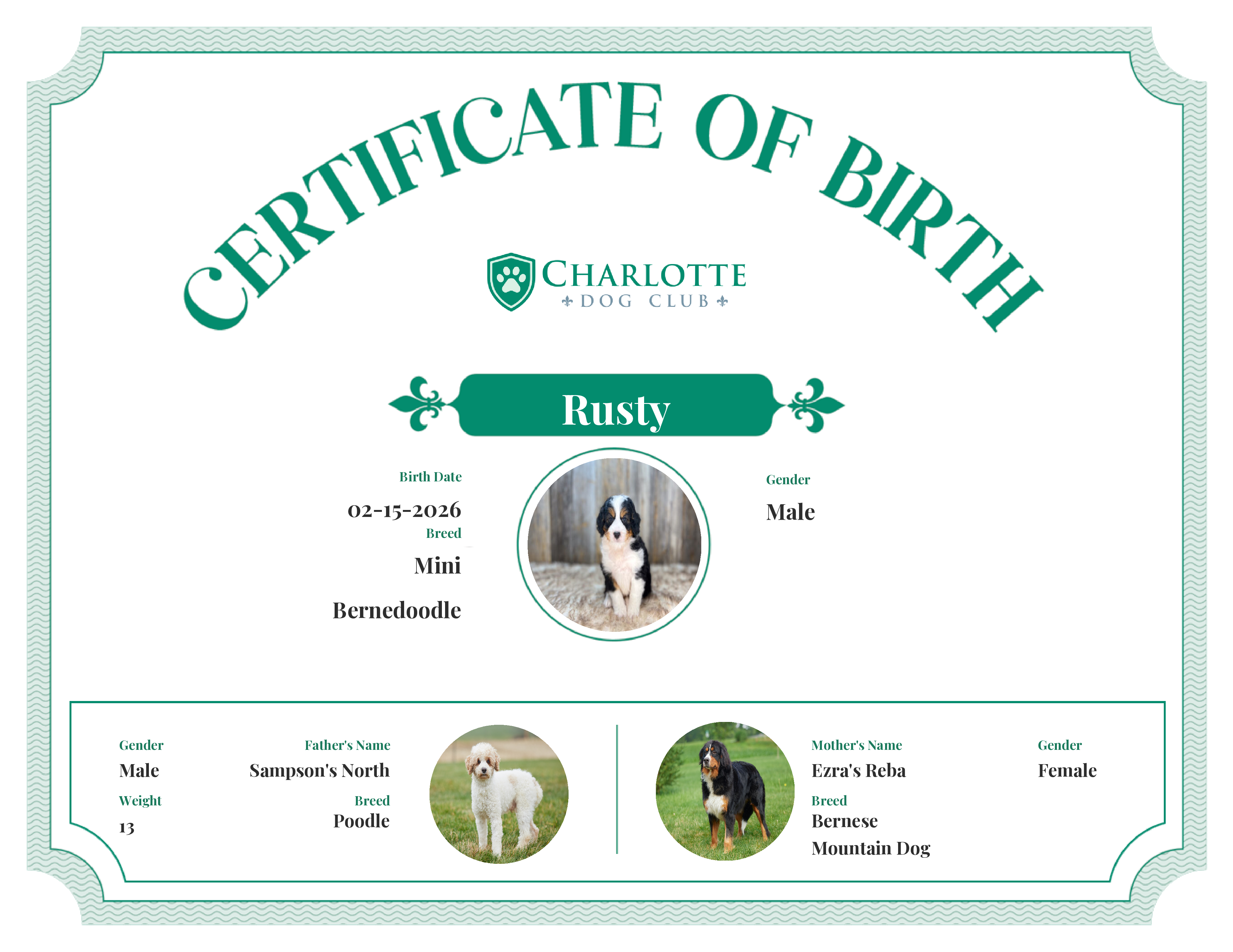 Rusty*'s Birth Certificate