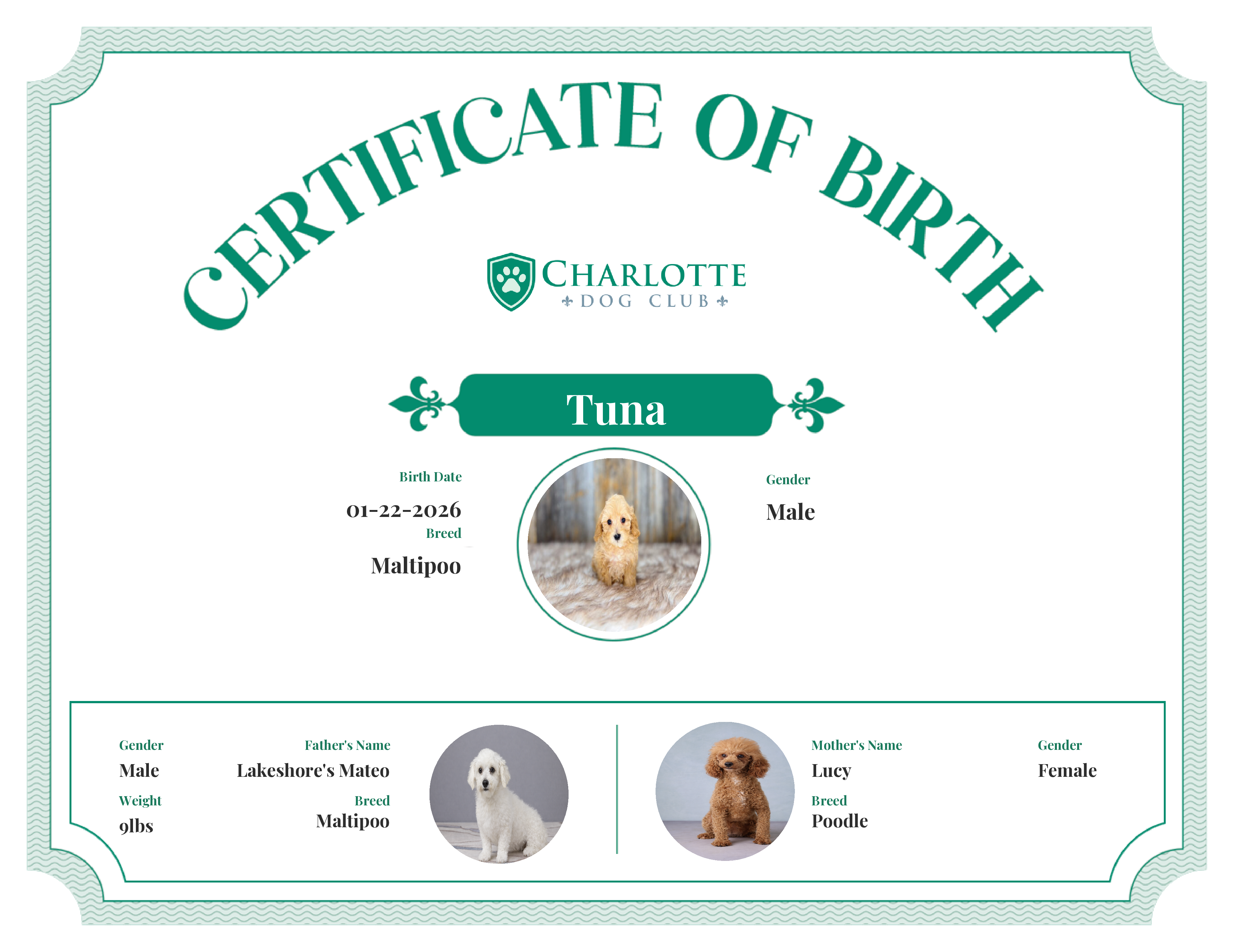 Tuna's Birth Certificate